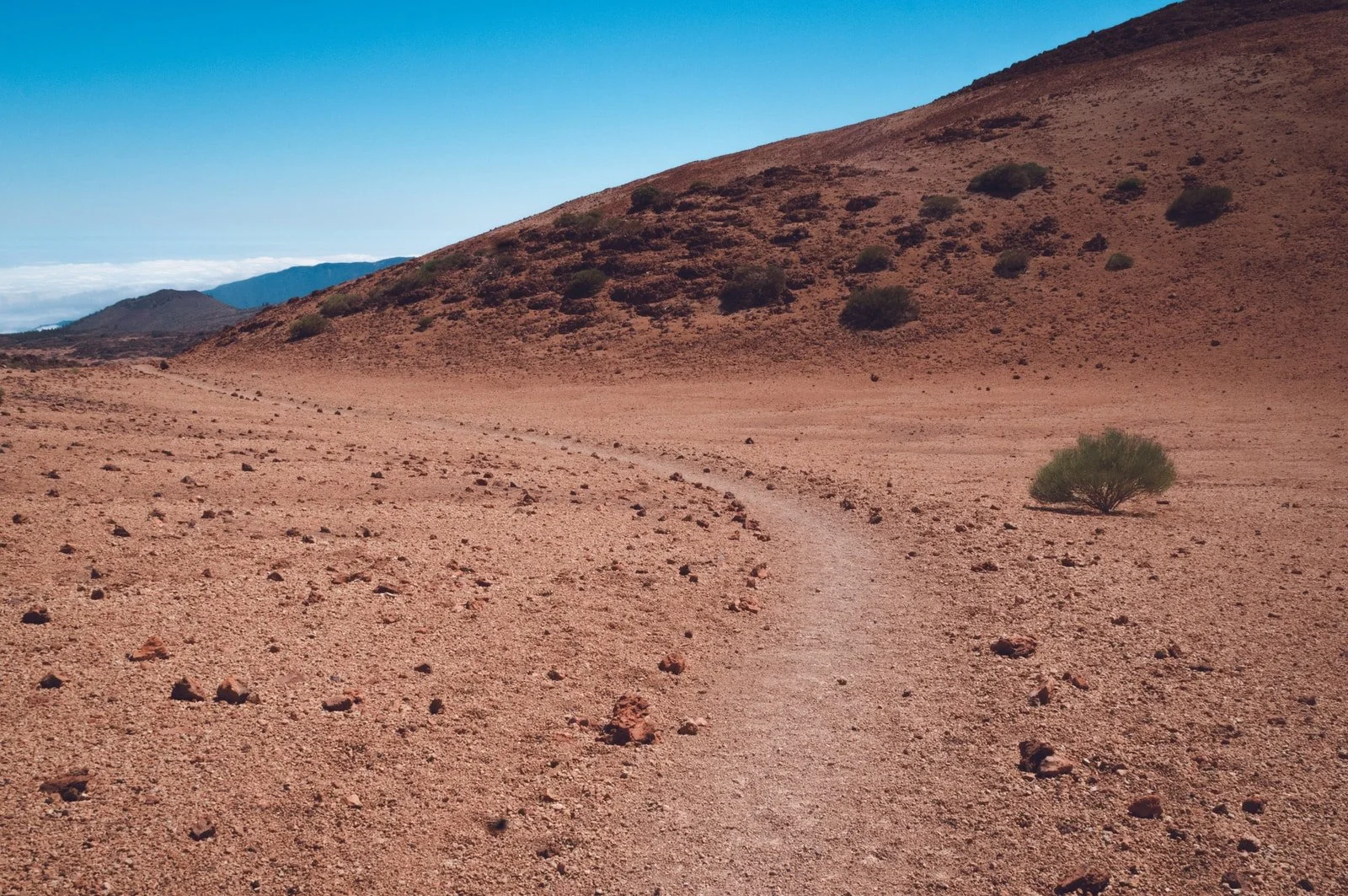 An Encounter on the road to Emmaus
