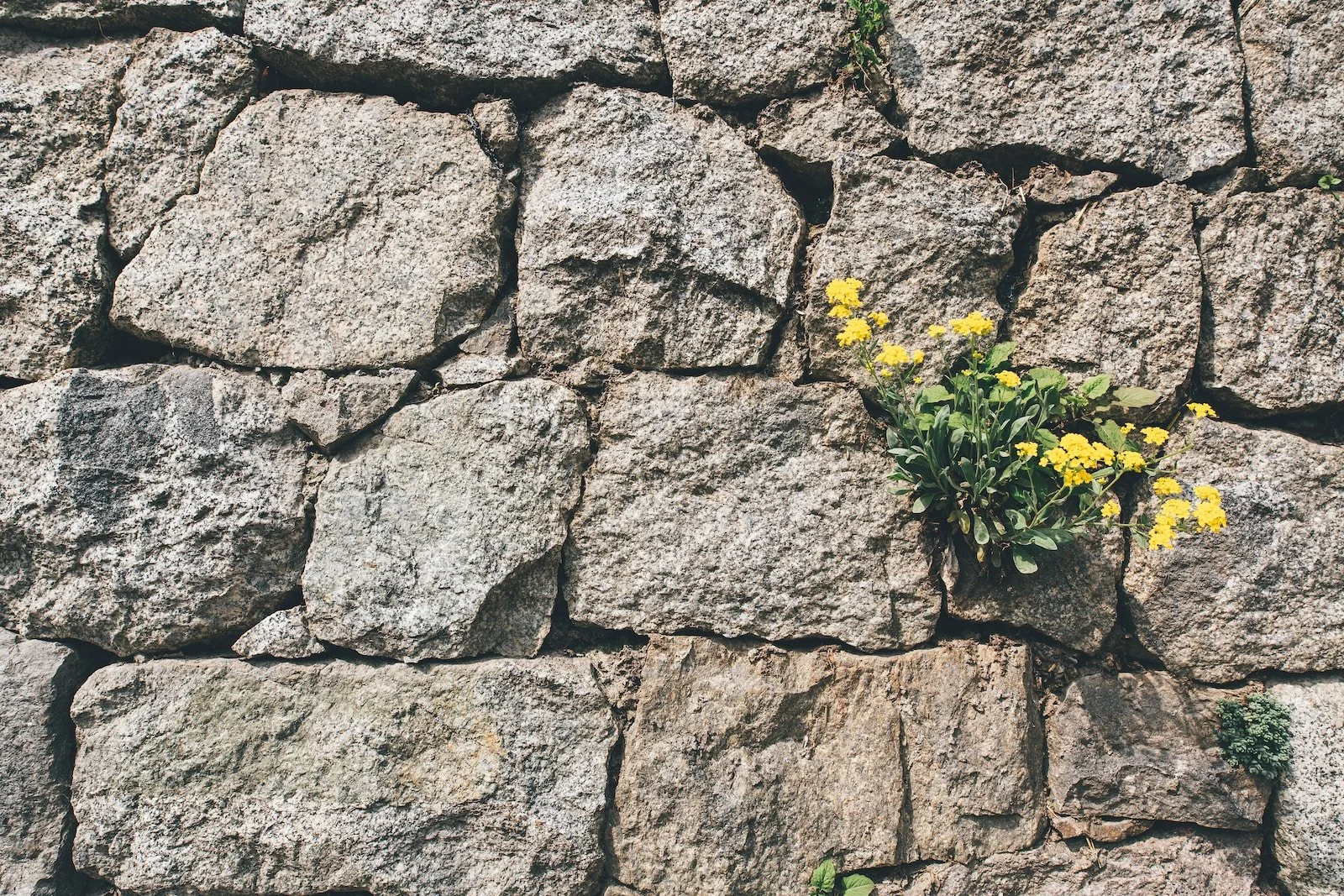 Are you Growing as a Leader?