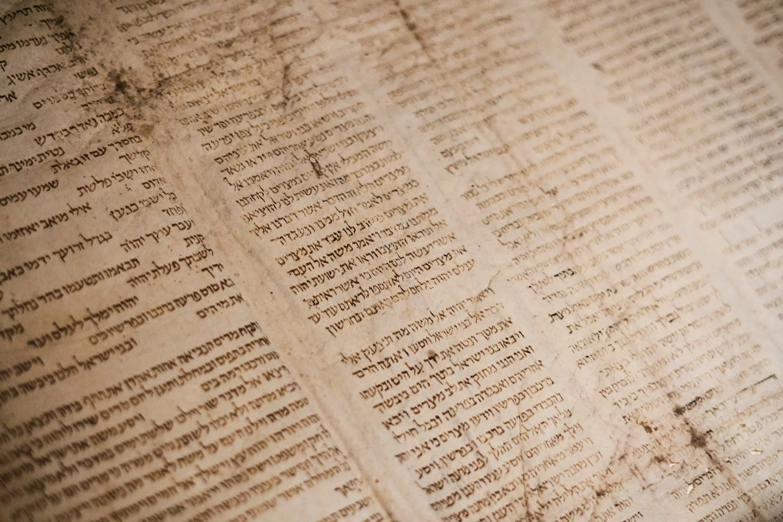 A Letter to Timothy