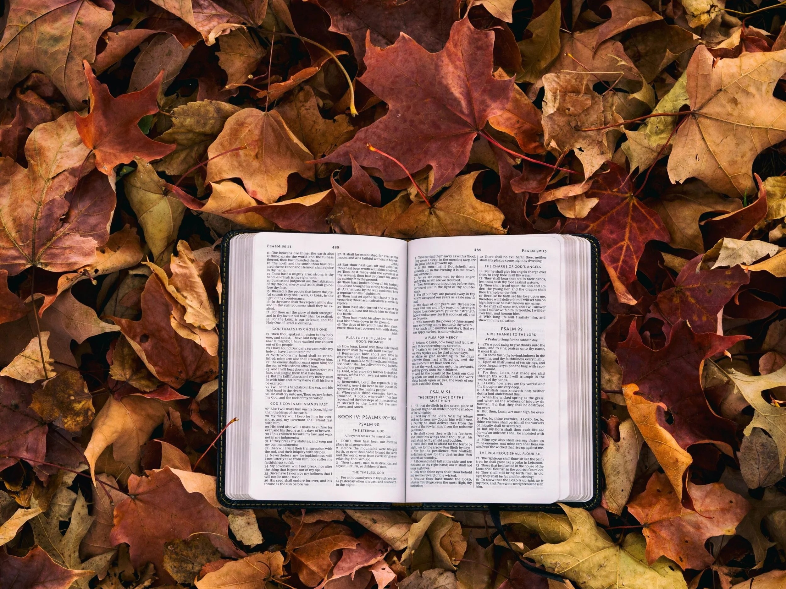 In His Word