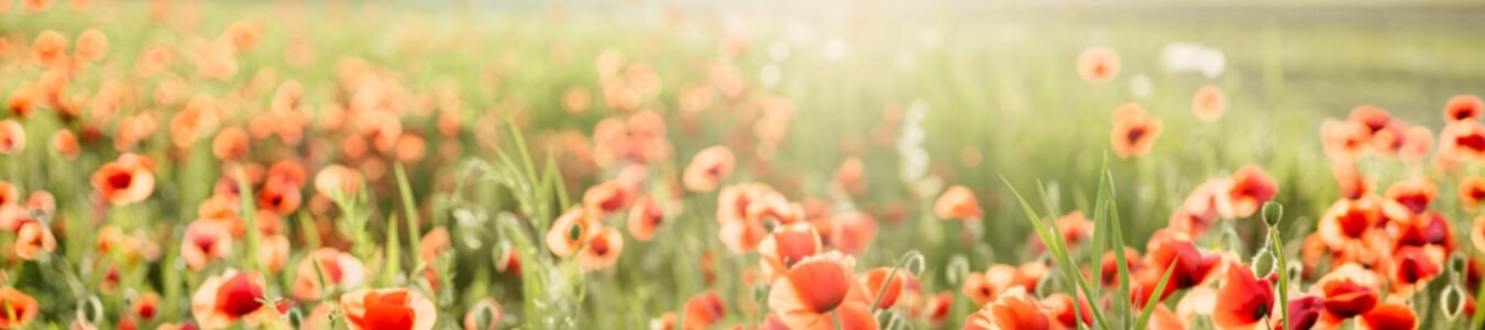 A Purpose Led Life