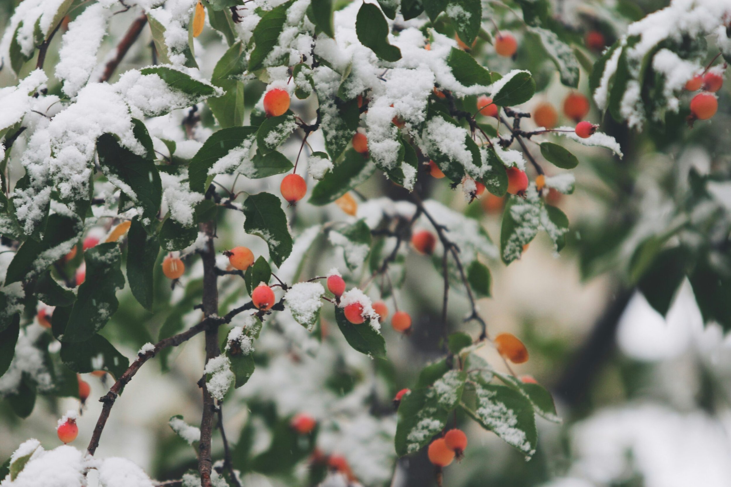 Could you use a fresh start with God?