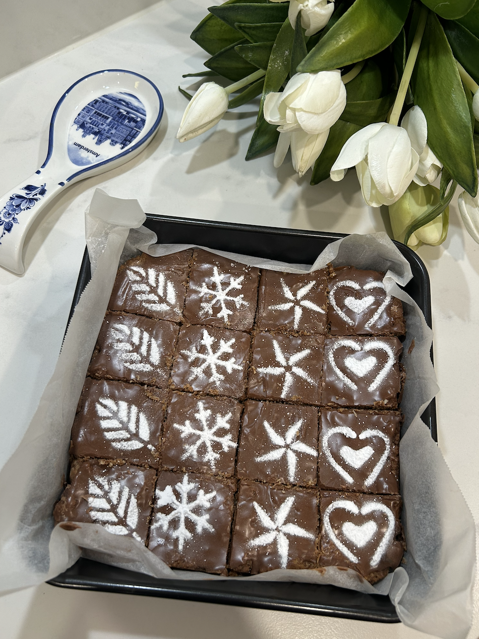Chocolate & Coconut Slices (16)