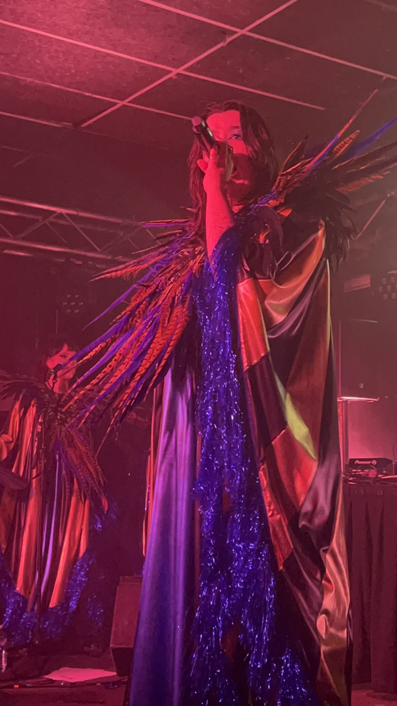 A person with dreadlocks singing into a microphone on stage, dressed in colorful, shiny costume with feathered wings, illuminated by red stage lights.