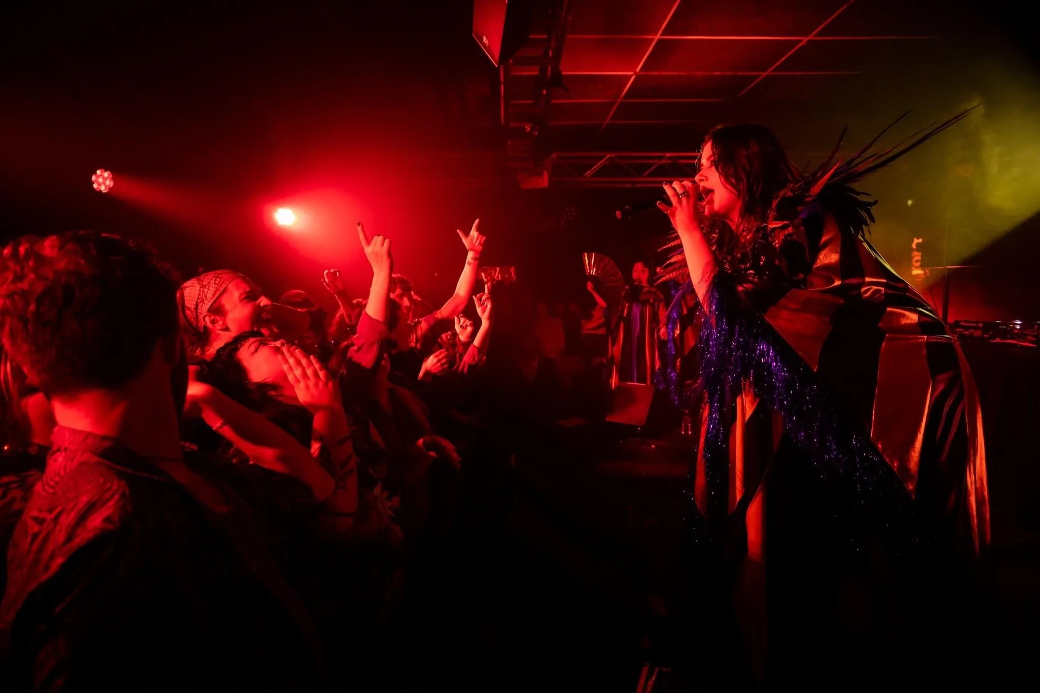 A singer with dark hair, wearing a shiny black and purple outfit with feathered shoulders, performs on stage. The stage is bathed in red and yellow lights, and the audience is dancing and enjoying the performance.