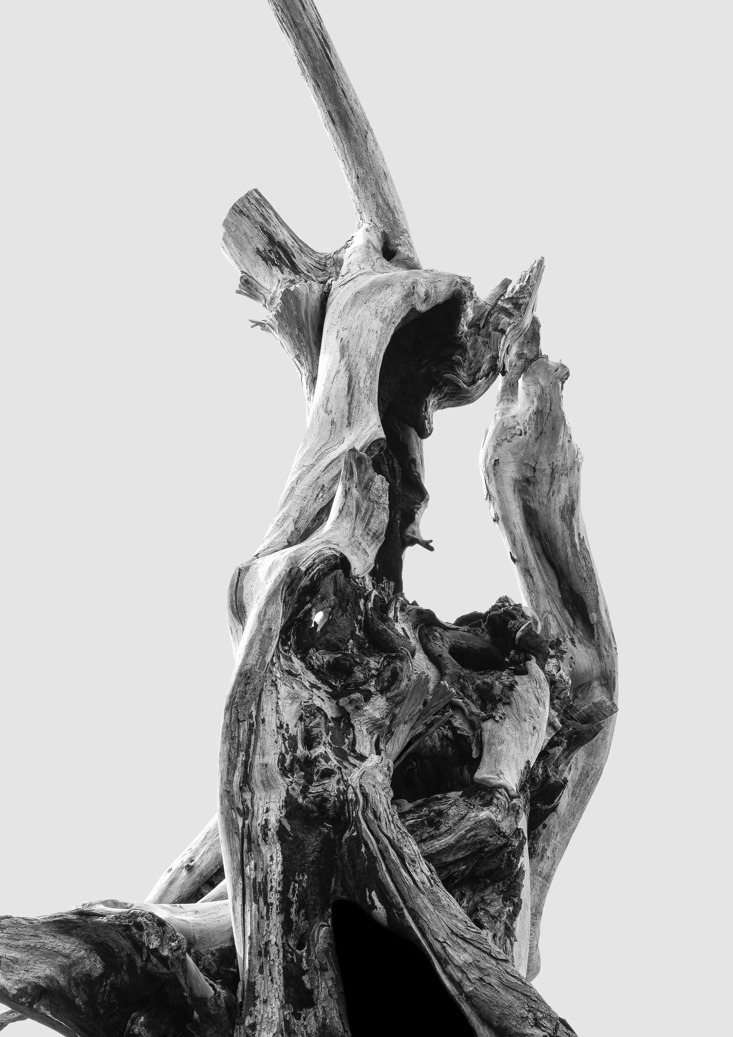 Silent Forms #2