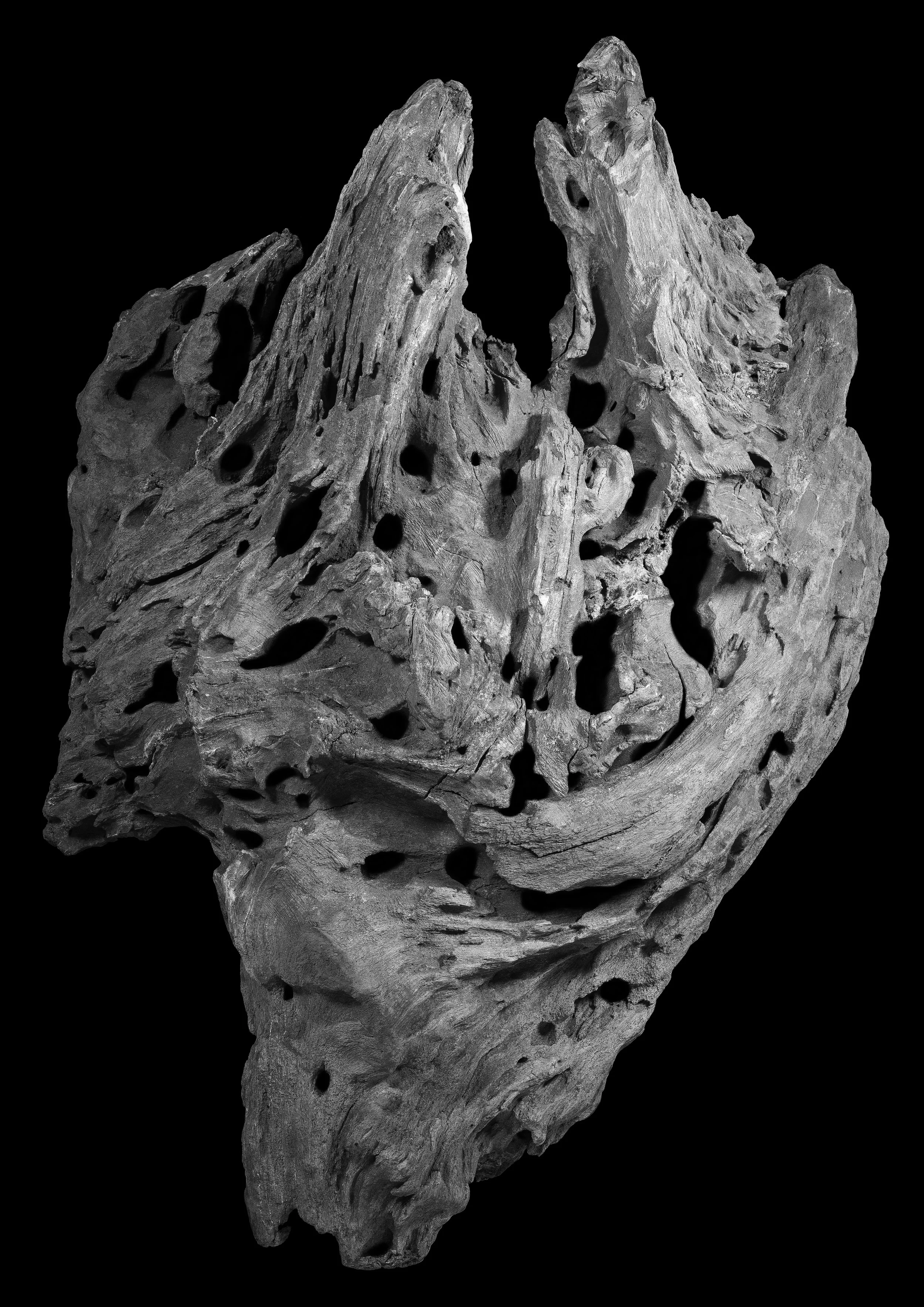 Fragments #2