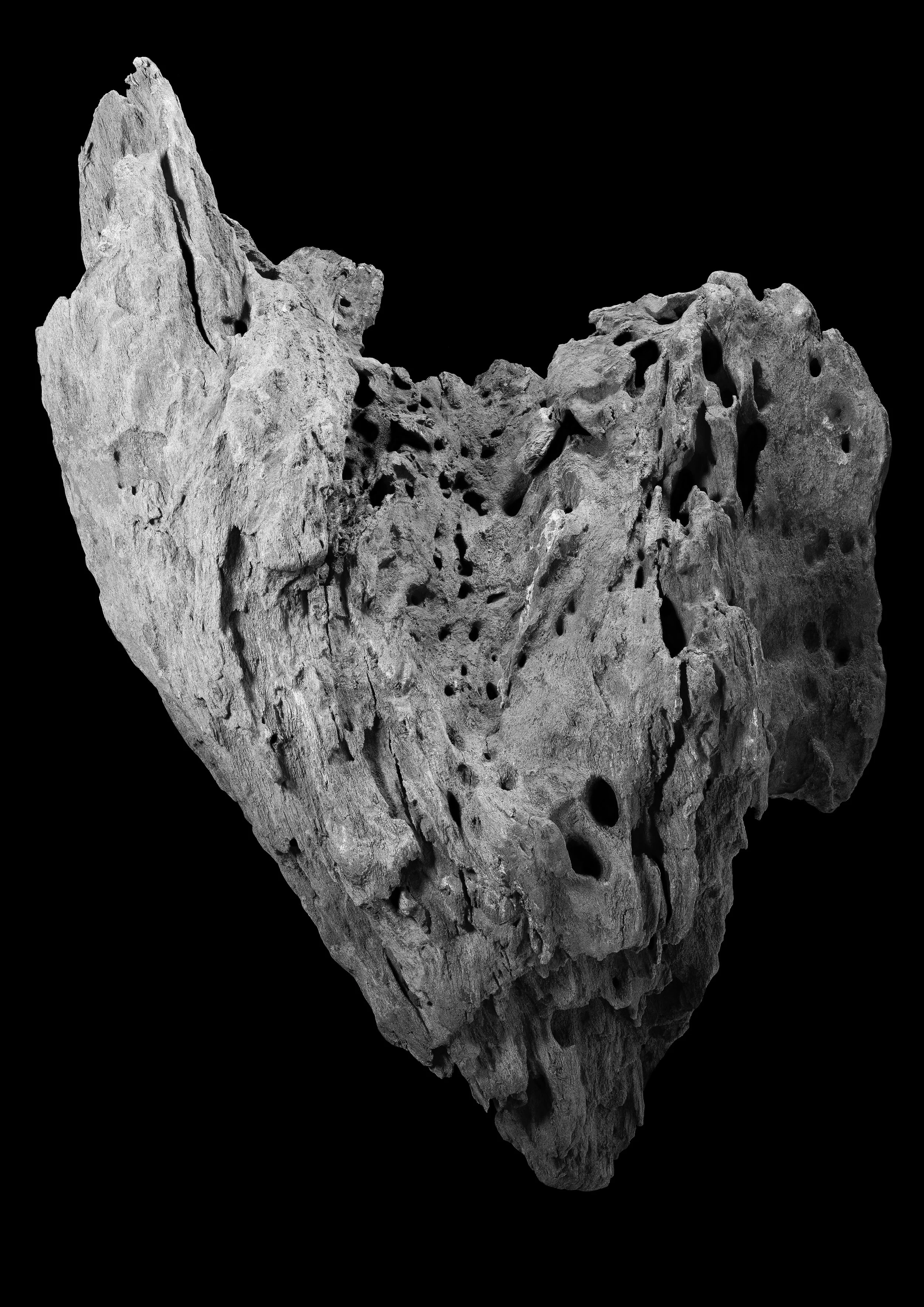 Fragments #1