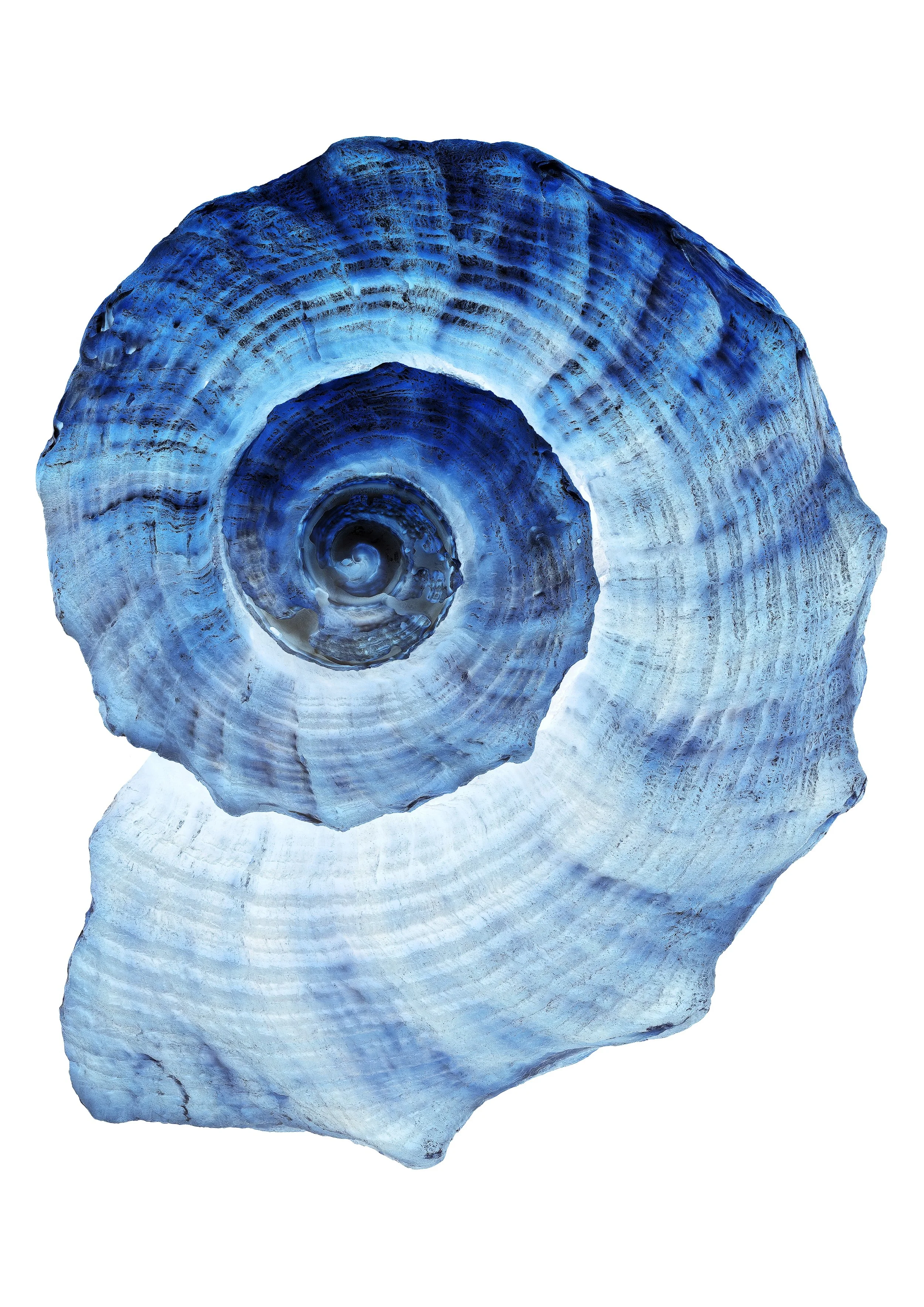 Tidal Echoes #1