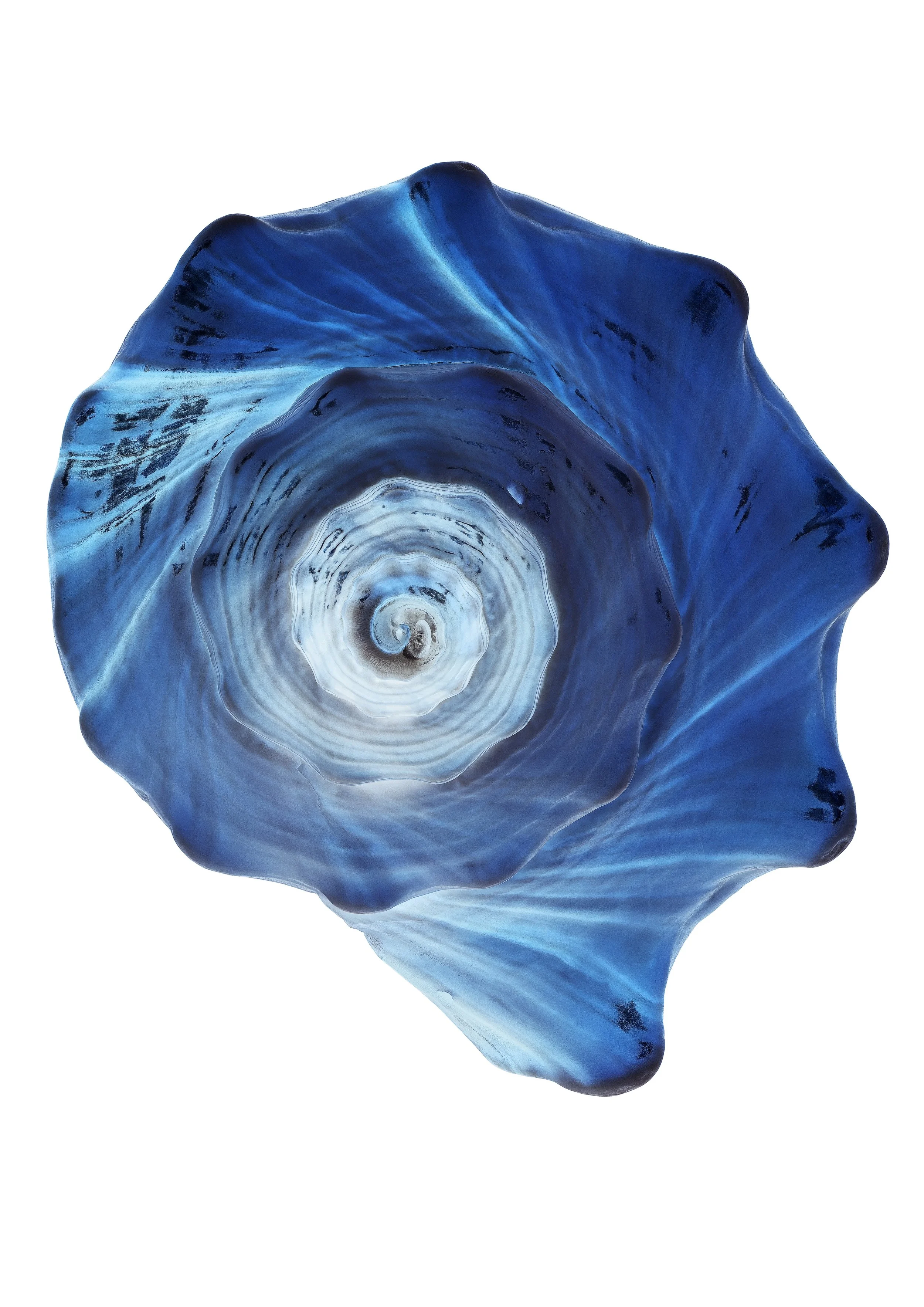 Tidal Echoes #2