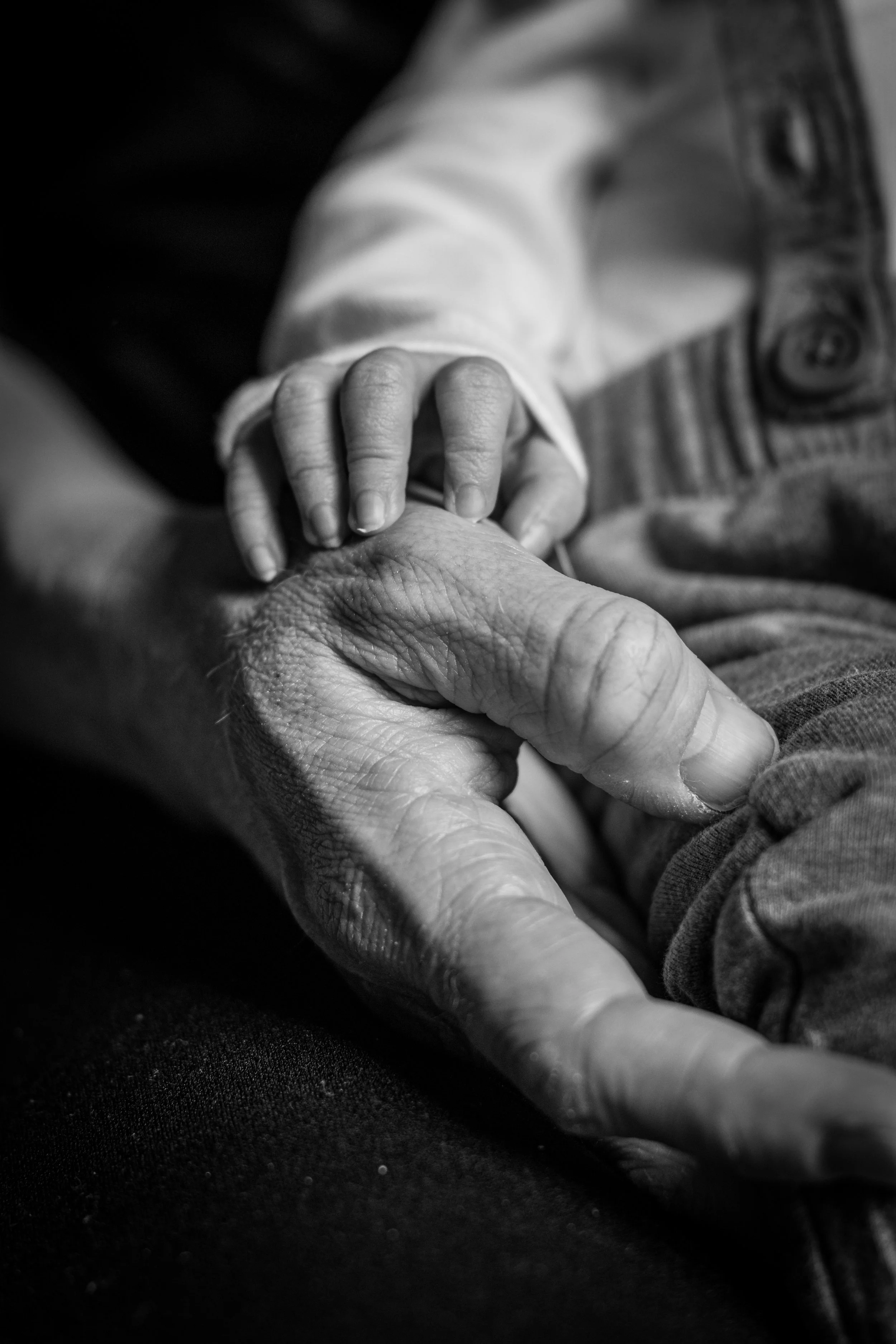 Close-up black-and-white photo of an elderly person's hand held gently by a child's hand, emphasizing tenderness and connection.