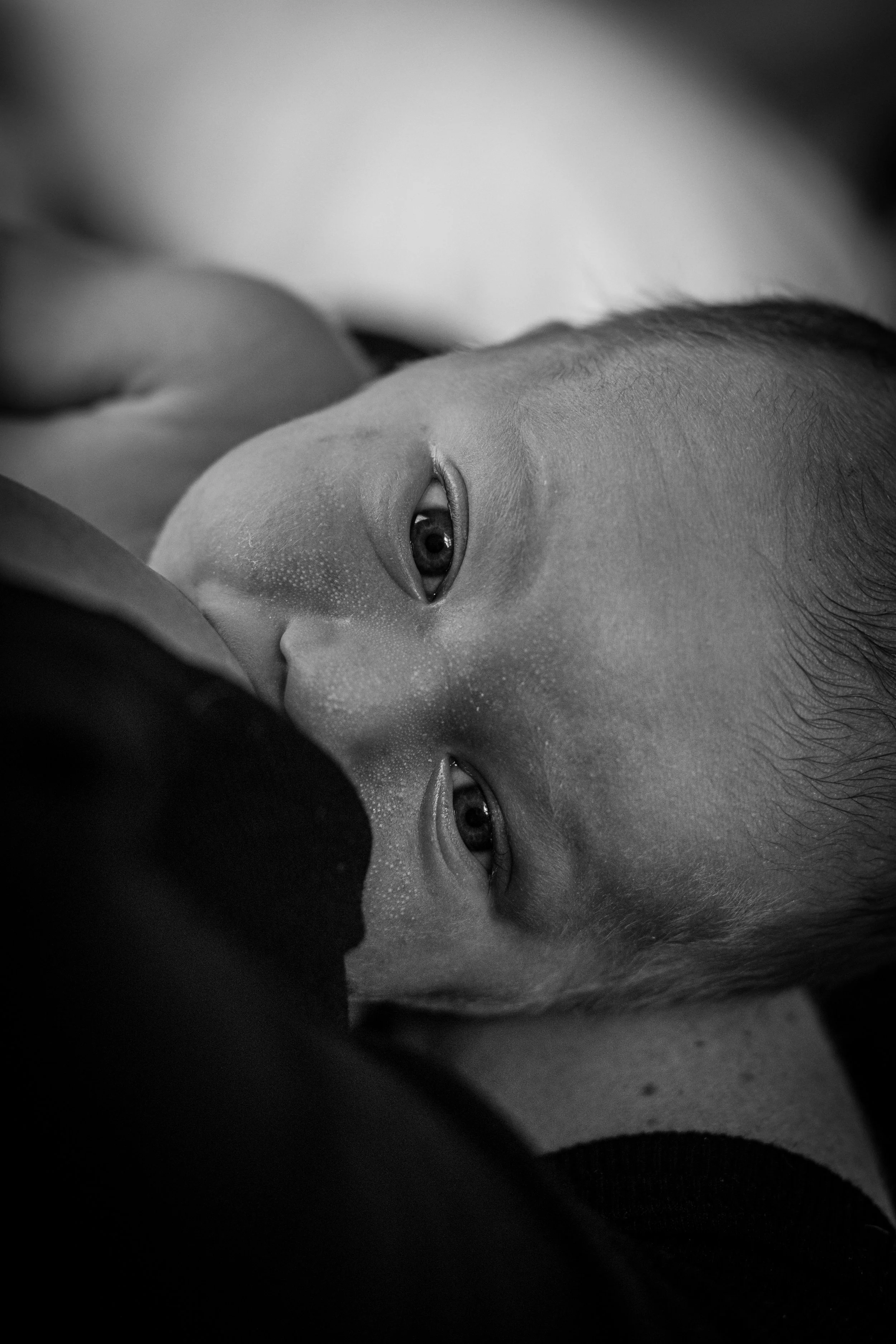 Newborn baby breastfeeding, staring straight into the camera