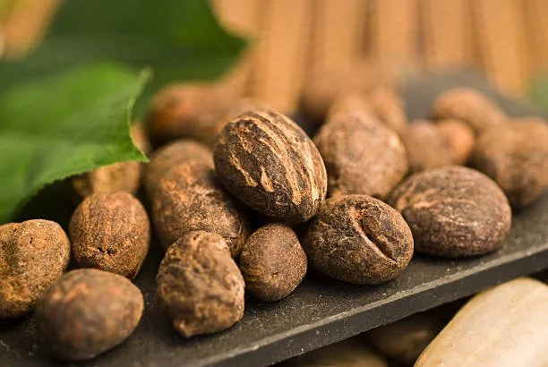 Shea Nuts