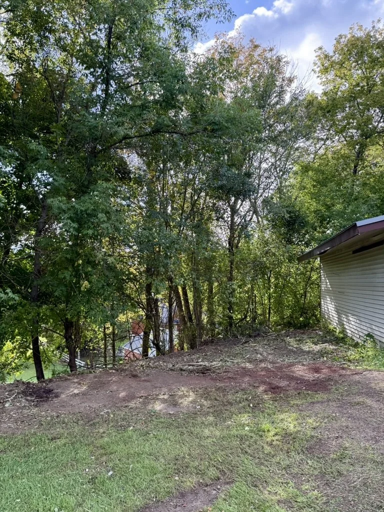 A backyard with grass and dirt, bordered by trees and shrubs, and a house with white siding on the right side.