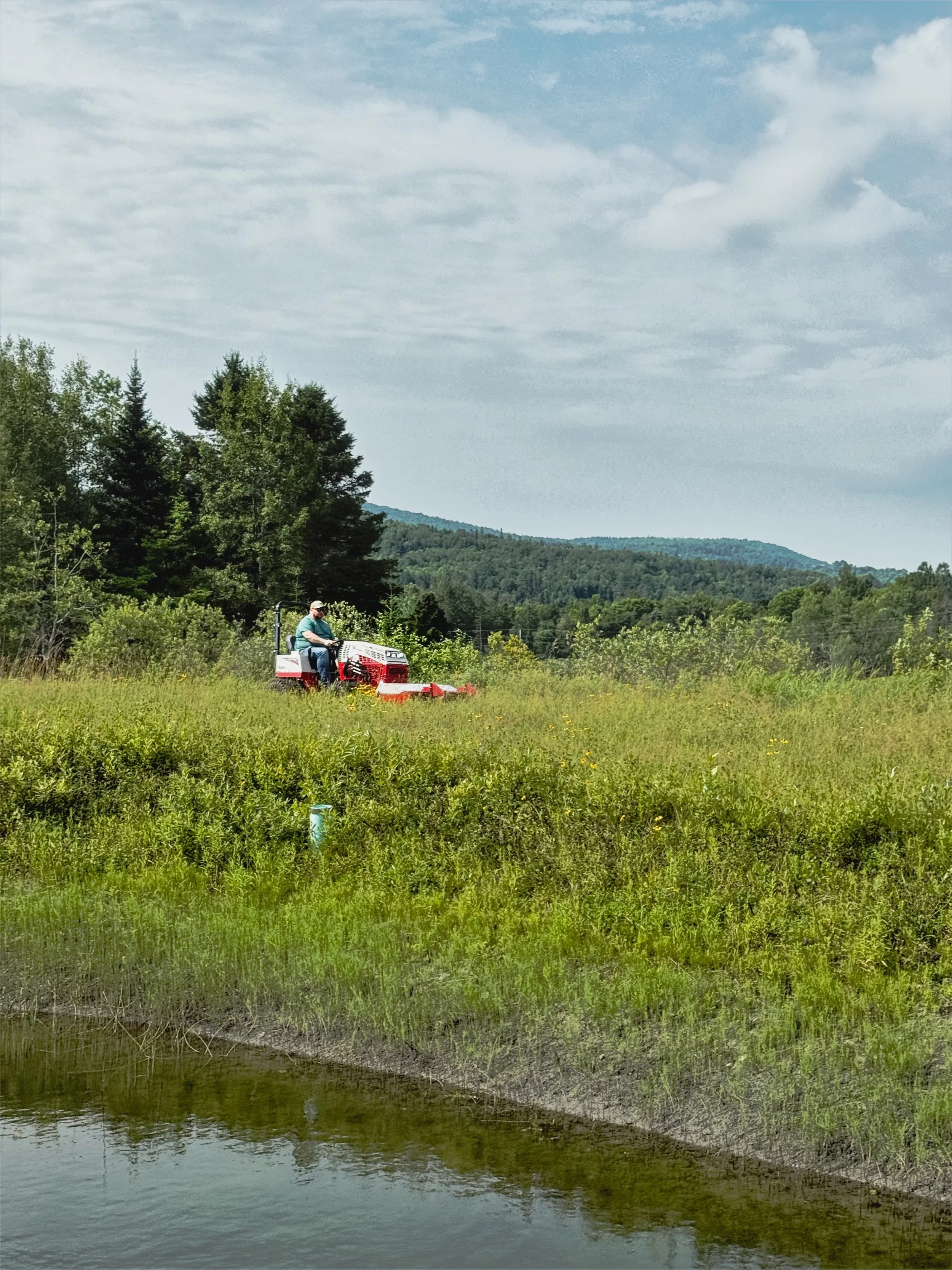 Man riding a lawn mower in a grassy field near a body of water with trees and hills in the background under a partly cloudy sky.