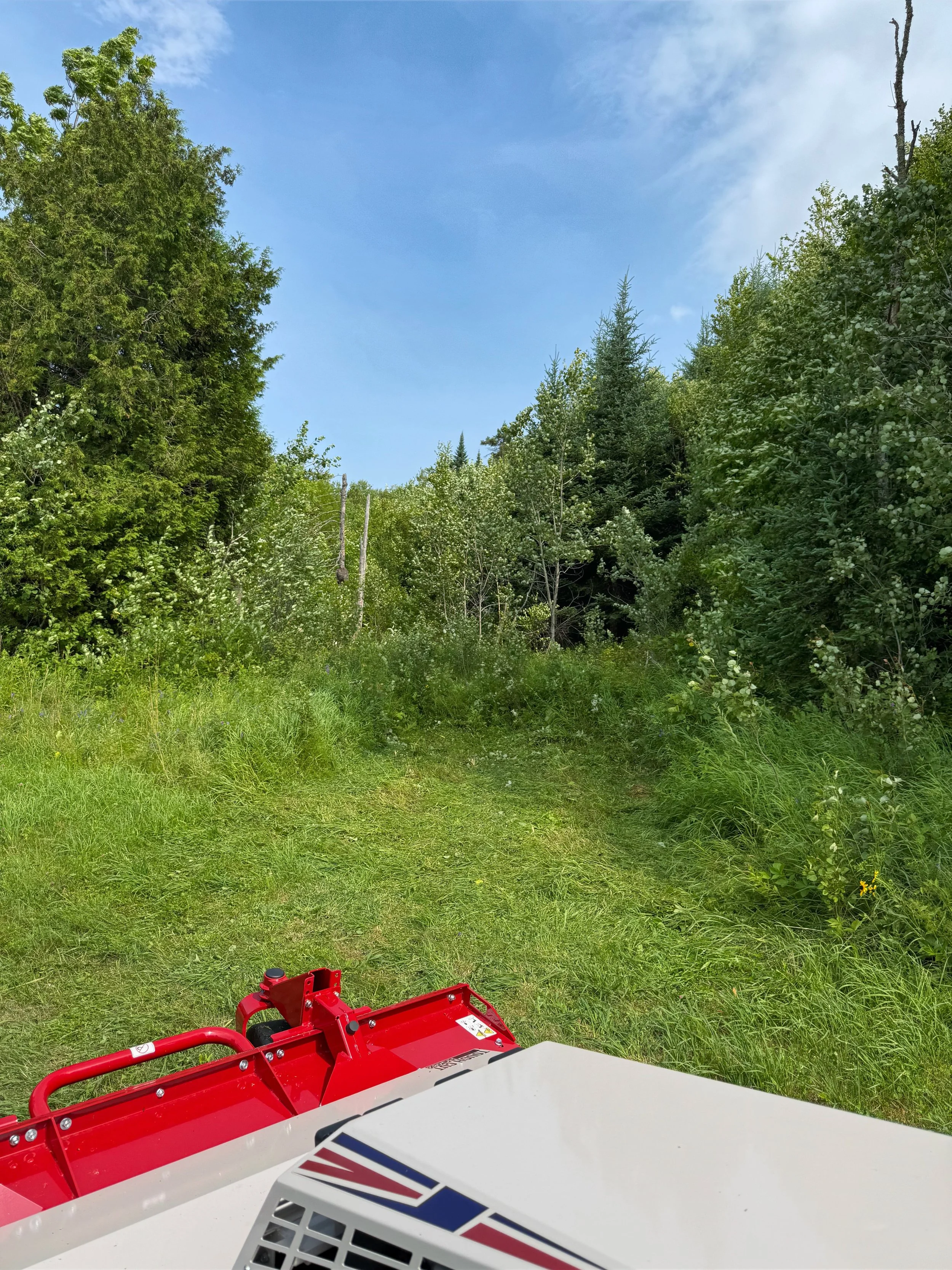 The photo shows a grassy area with trees on both sides and a blue sky with some clouds. Part of a red and white machine, possibly a lawnmower or landscaping equipment, is visible in the foreground.