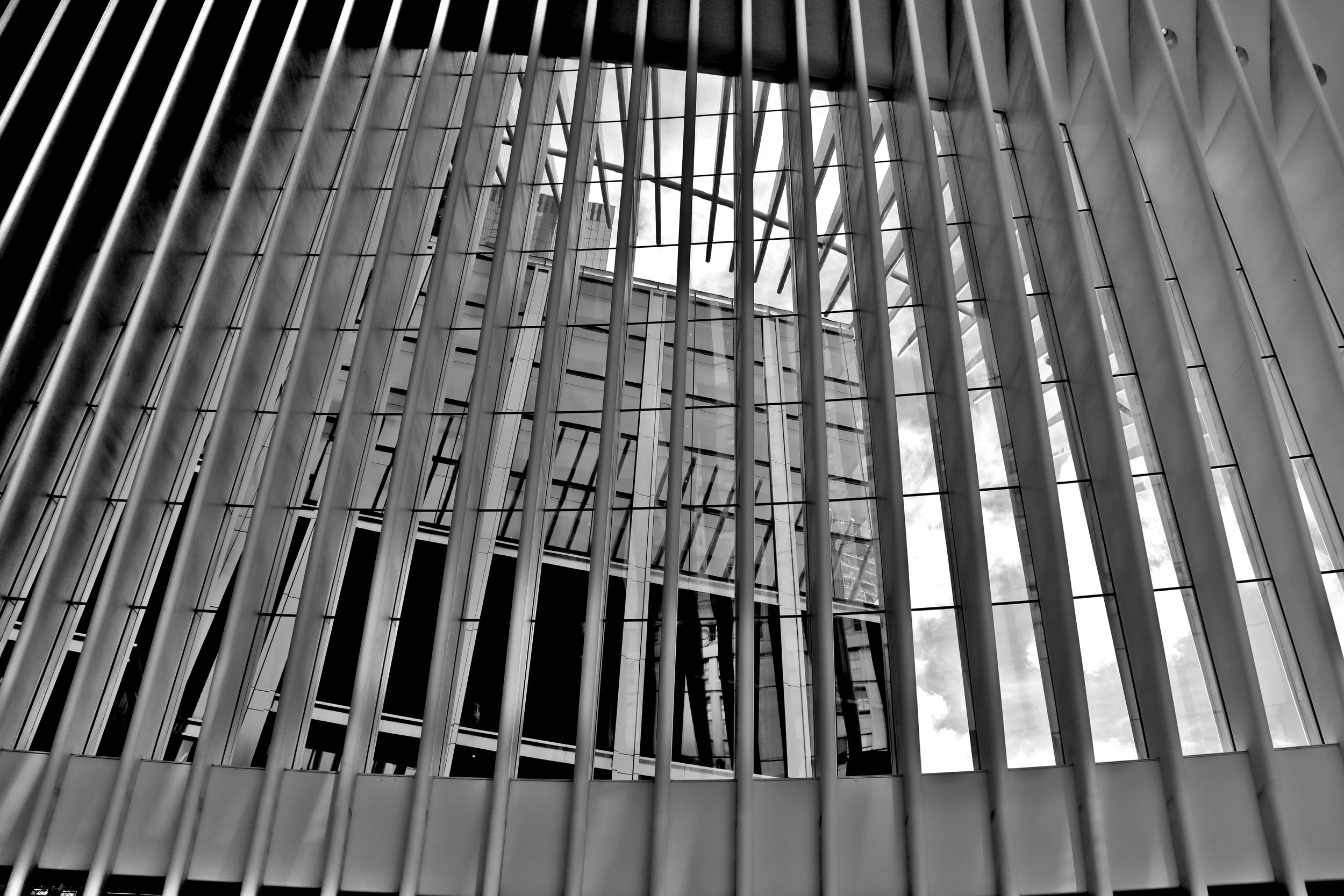 IMG_9575_BW.JPG