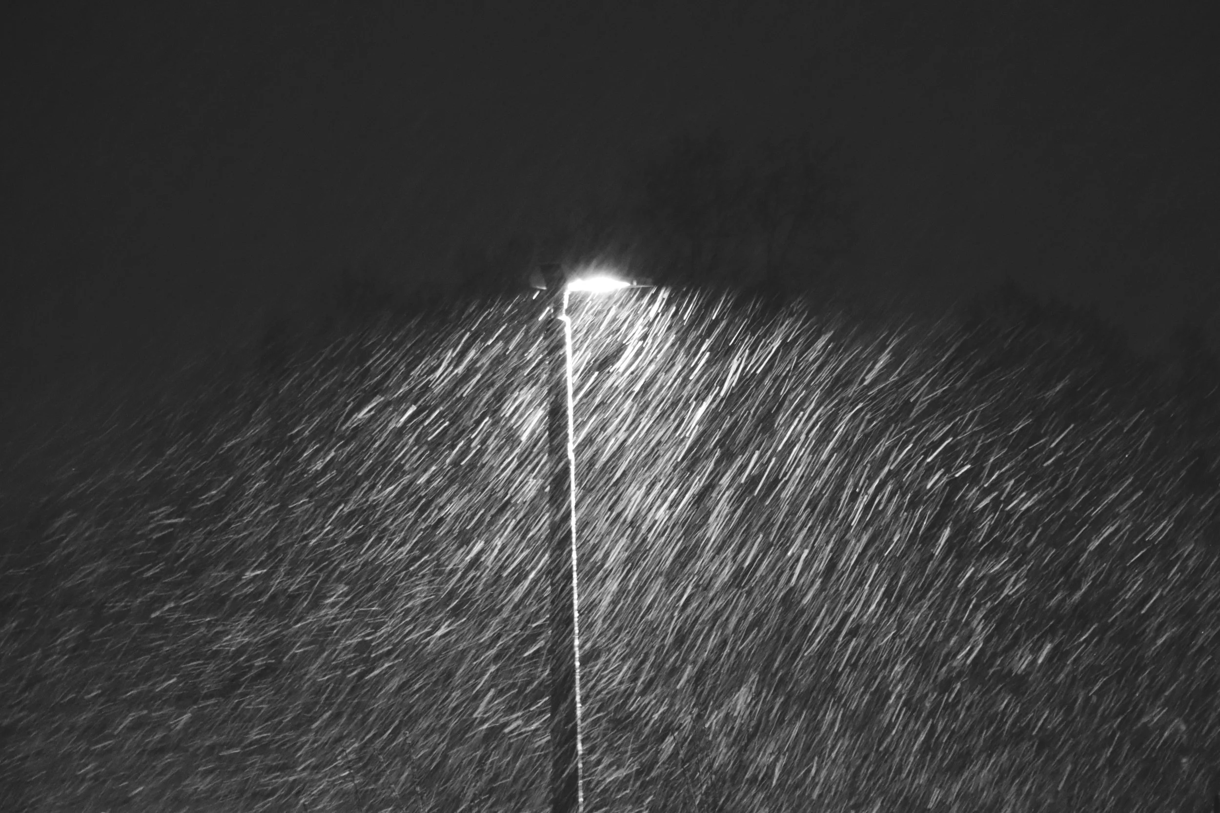 IMG_9845_BW.JPG