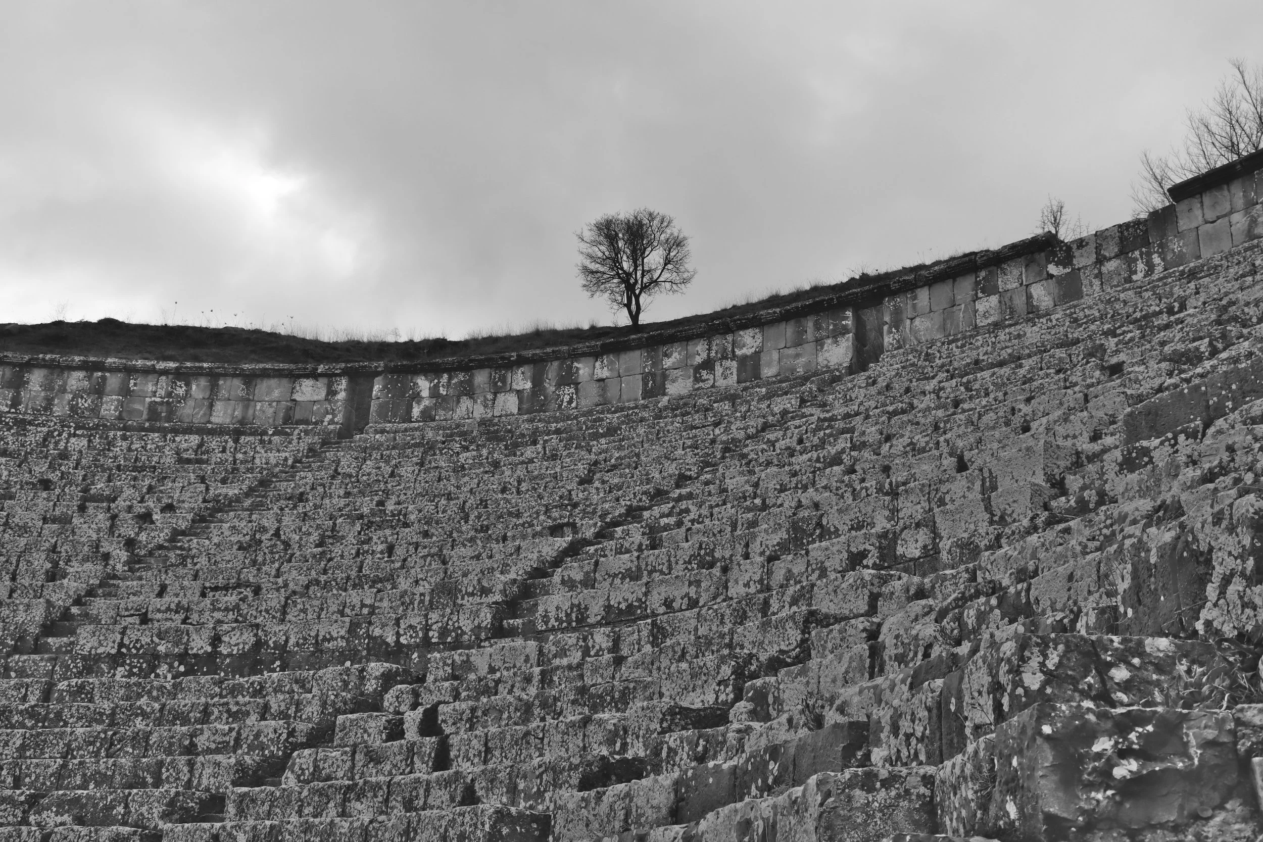 IMG_9816_BW.JPG