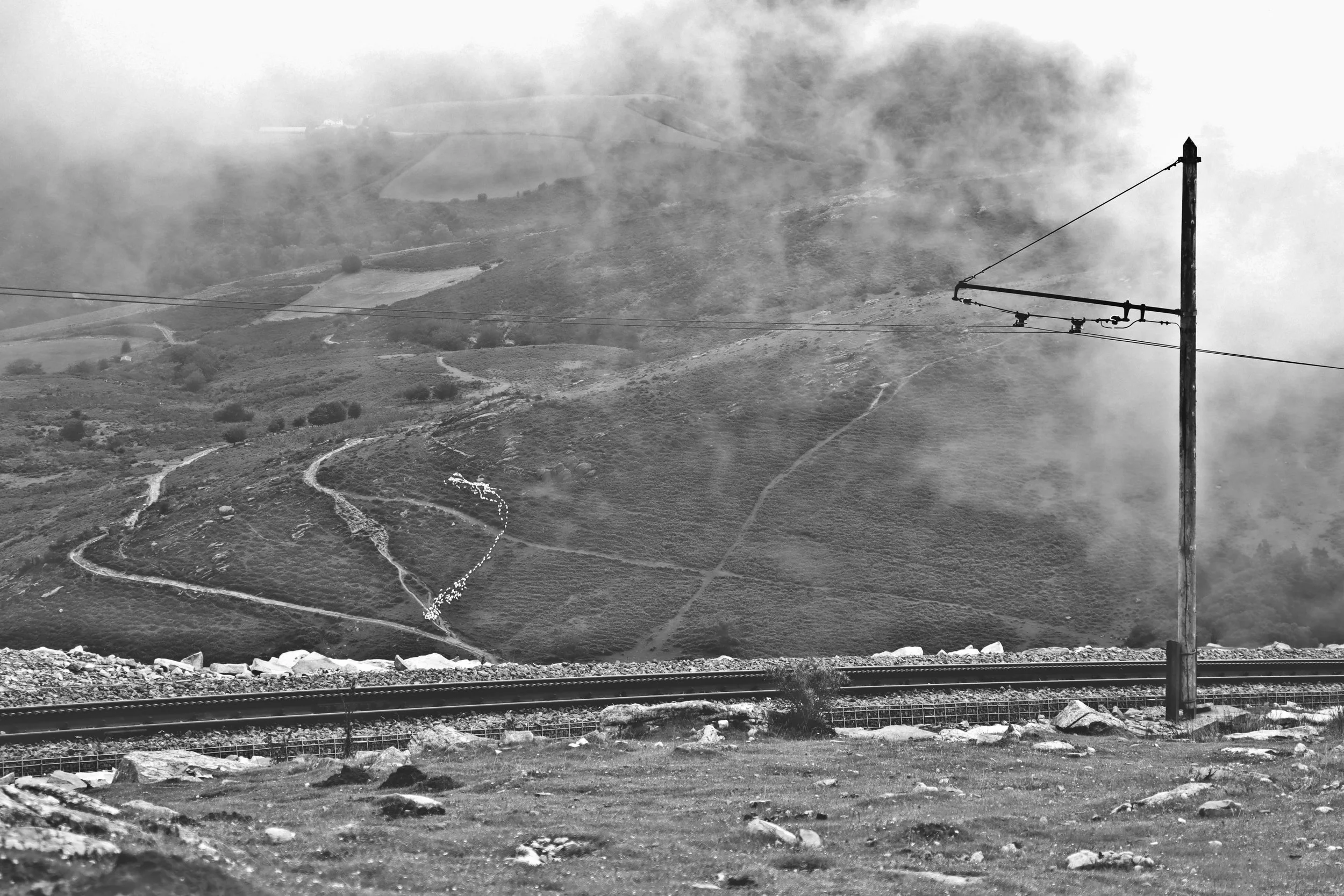 IMG_4837_BW.JPG