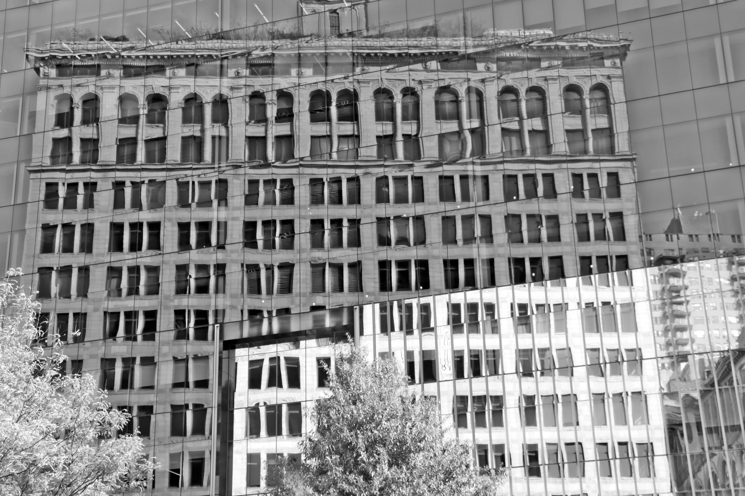 IMG_9466_BW.JPG