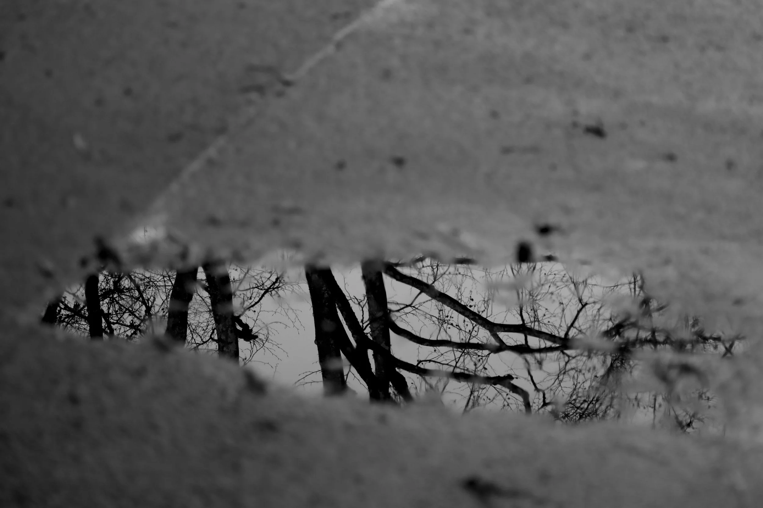 IMG_0930_BW.JPG