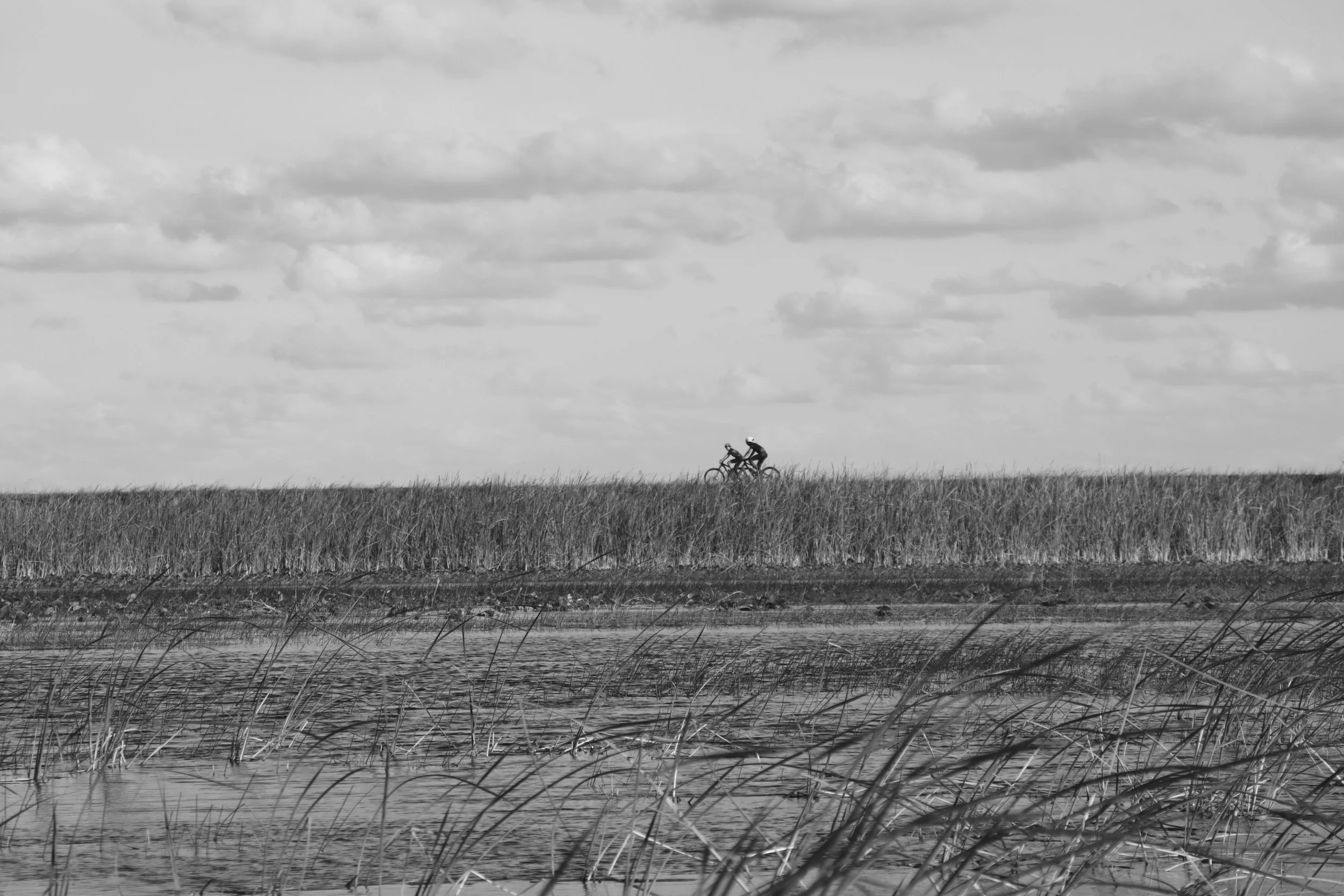 IMG_7322.JPG