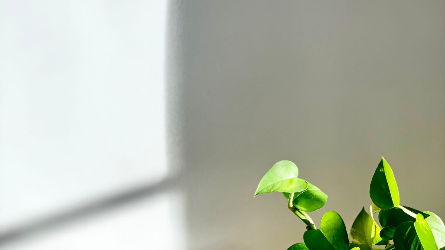 Counselling for anxiety, overwhelm and emotional wellbeing