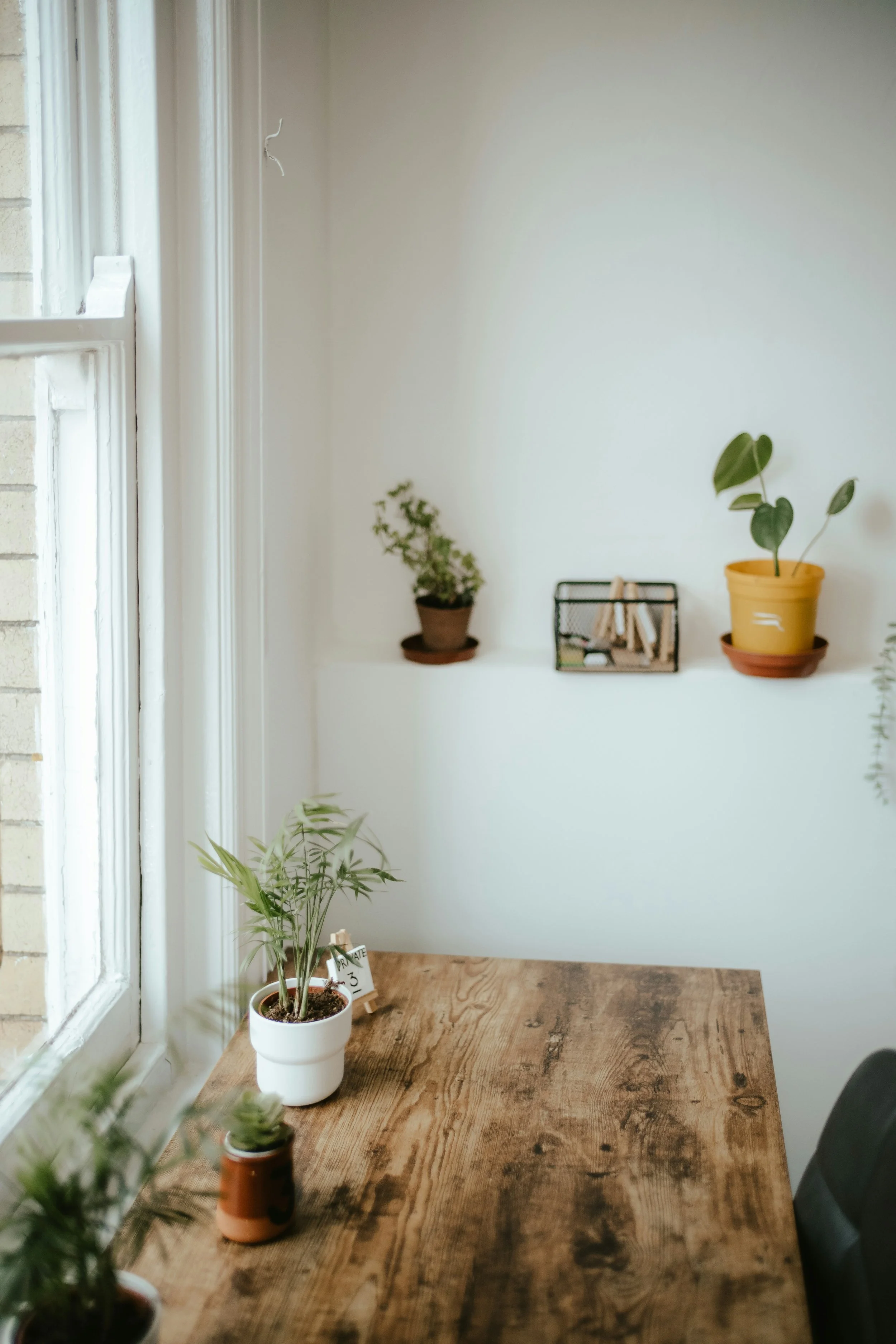 Integrative counselling available online and in person