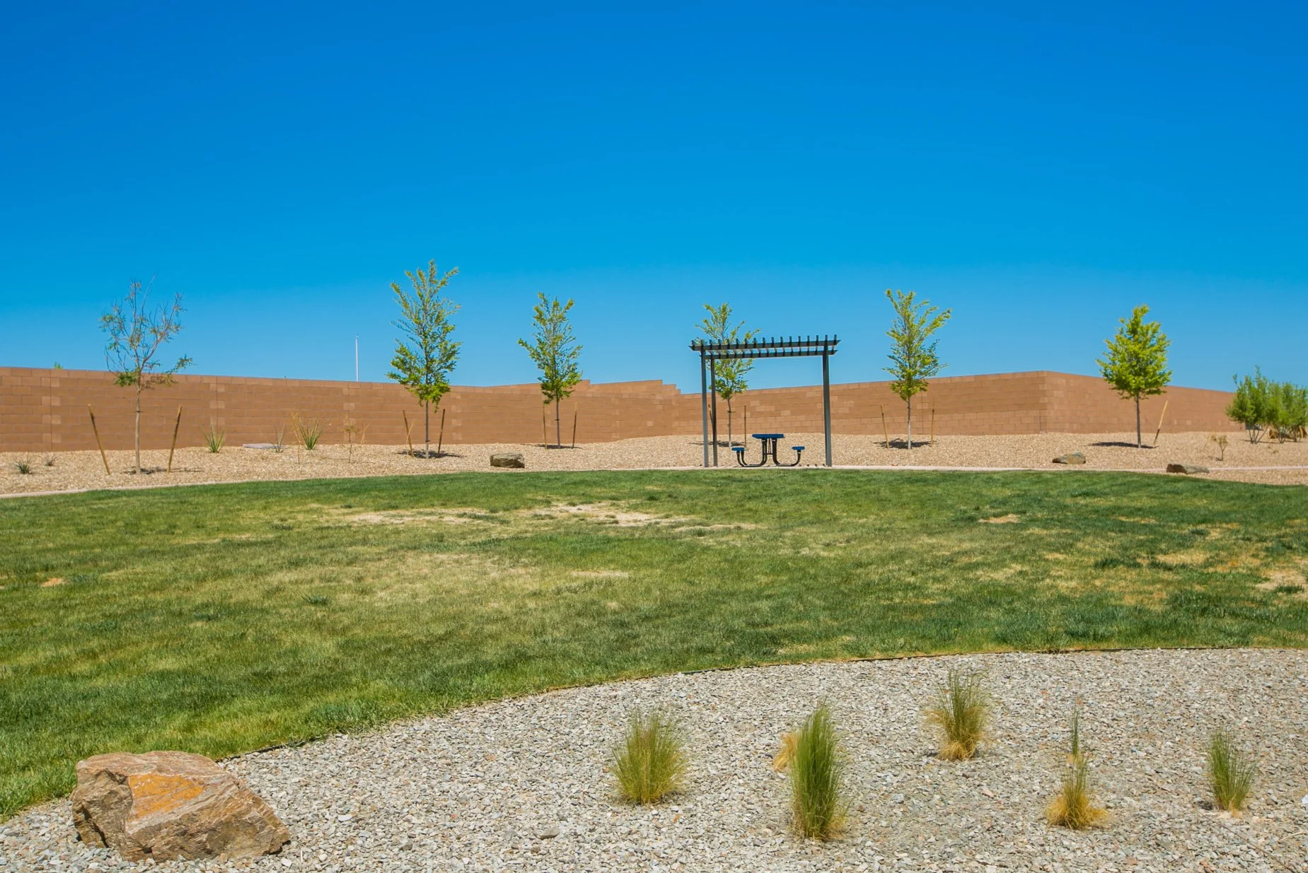 A landscaped park area with a grassy foreground, small desert plants, a gravel section, a row of young trees, and a tan brick wall in the background under a clear blue sky.