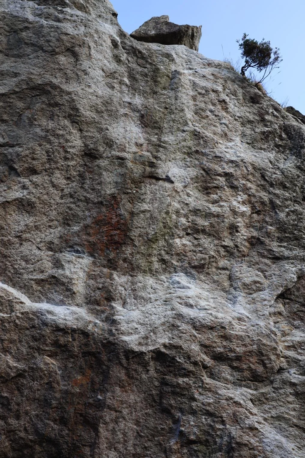 Close-up view of a textured, large rock face with sparse vegetation at the top and a clear blue sky in the background.