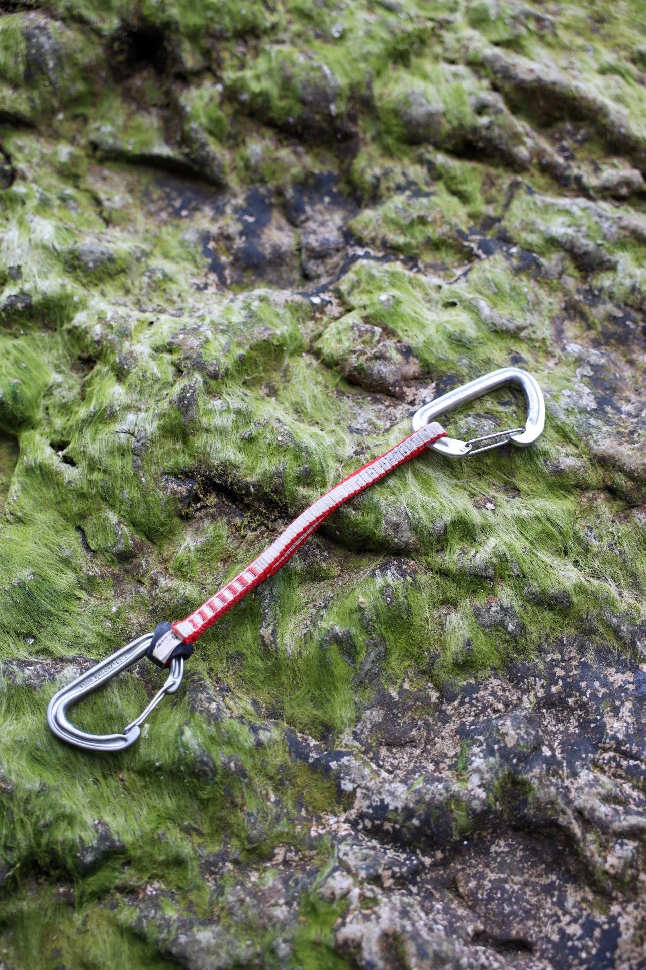 Close-up of a moss-covered rock with a climbing quickdraw attached to a metal loop, and a red and white climbing sling.