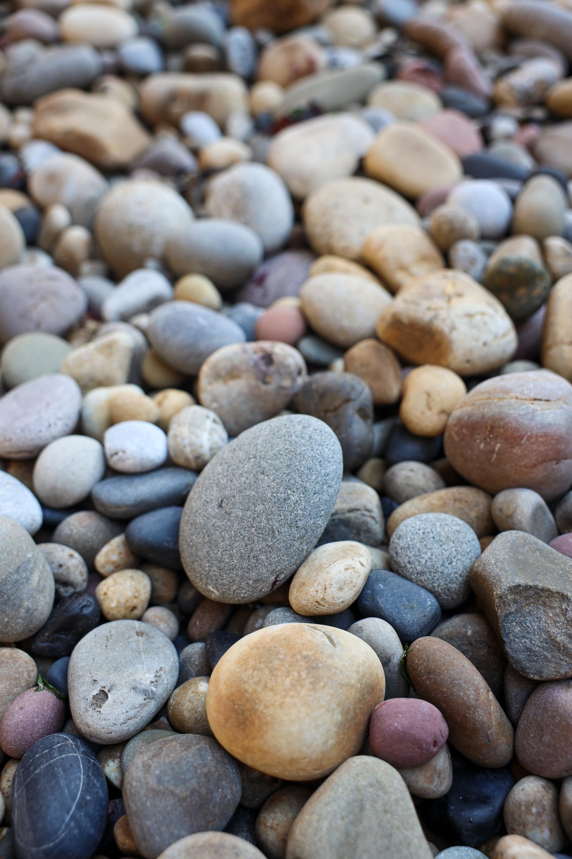 Close-up of various small, smooth, rounded pebbles in different colors and sizes.