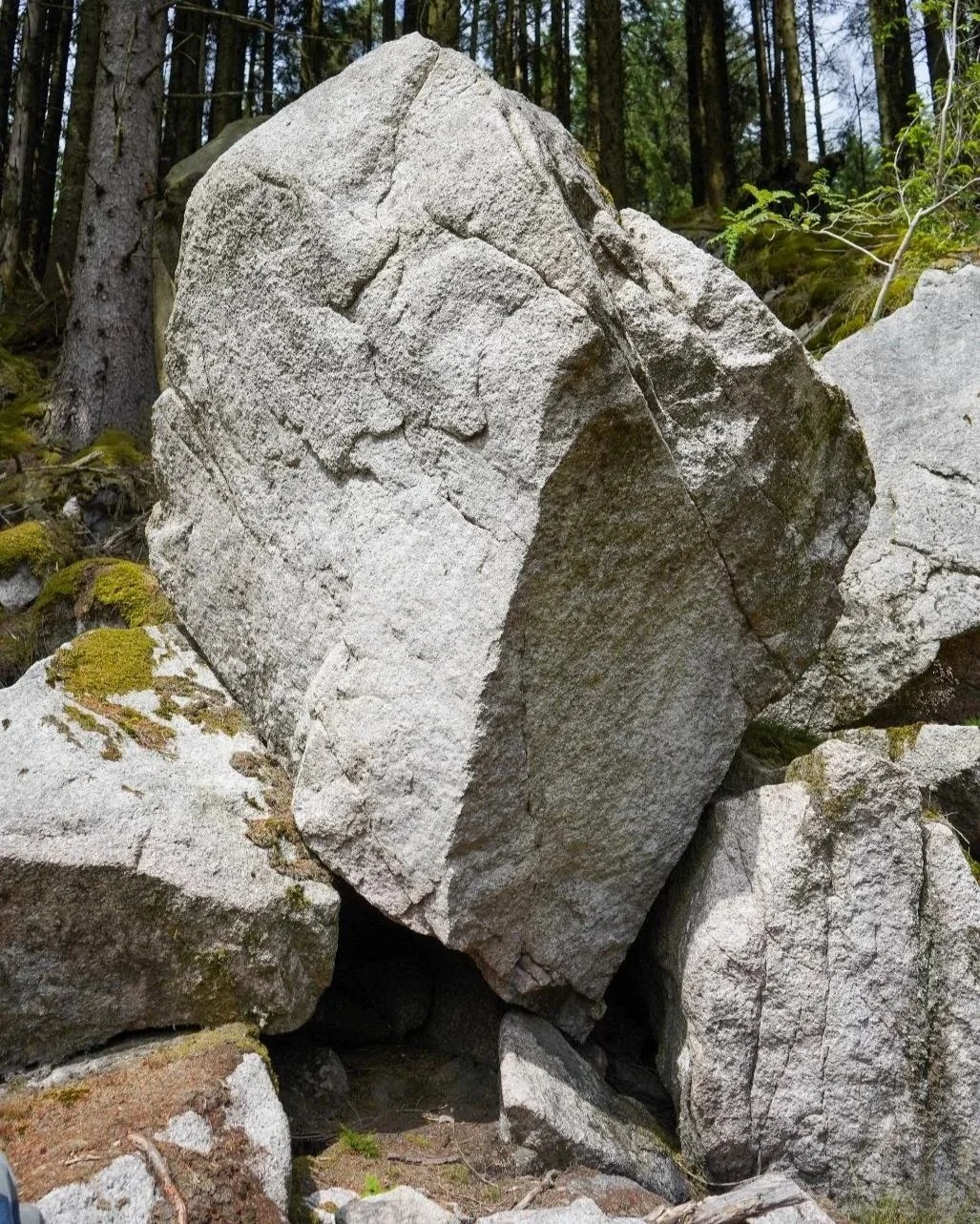 Large gray boulder with markings, balanced on smaller rocks in a forested area.