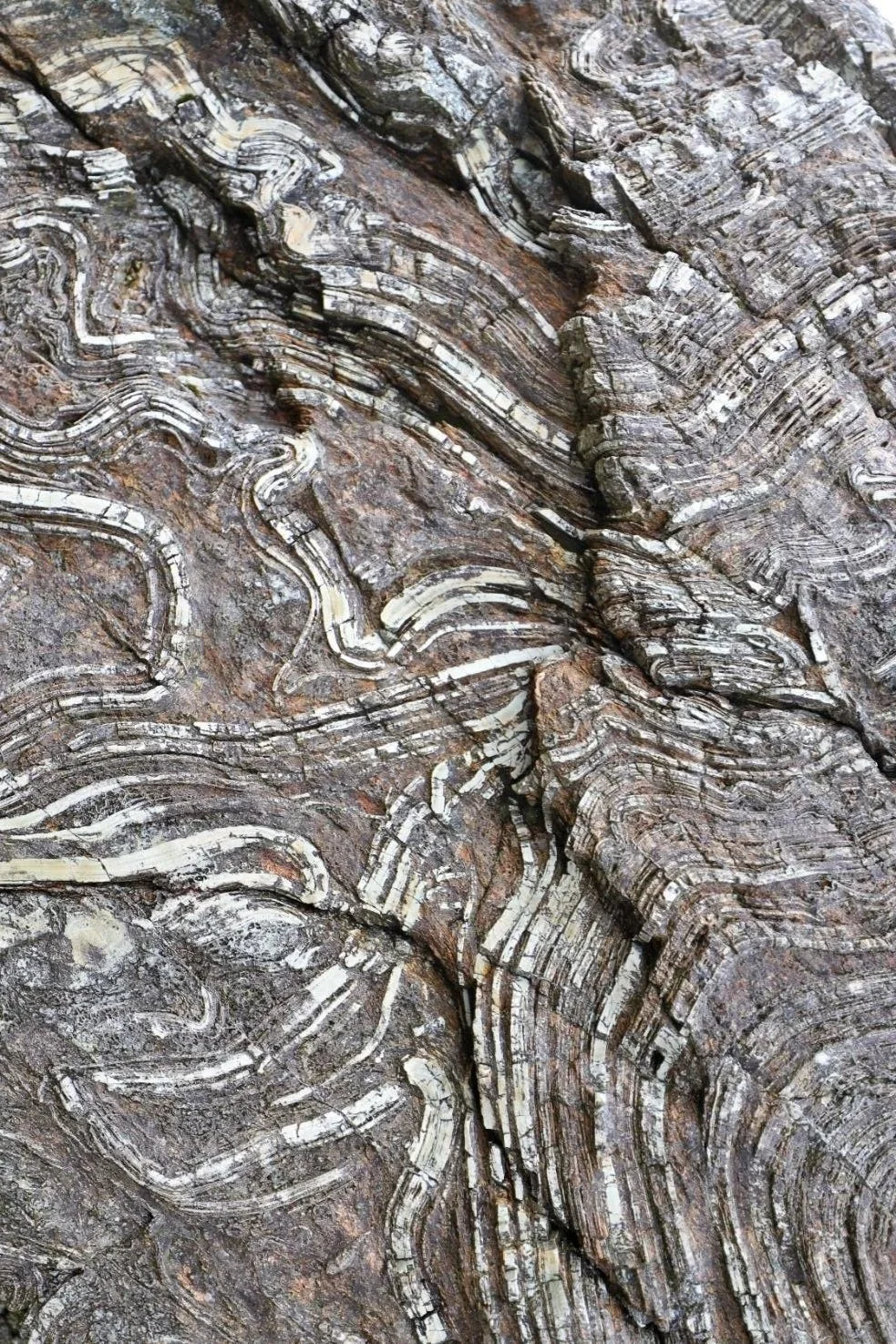 Close-up of layered, curved sedimentary rock formations with various shades of brown, gray, and white.