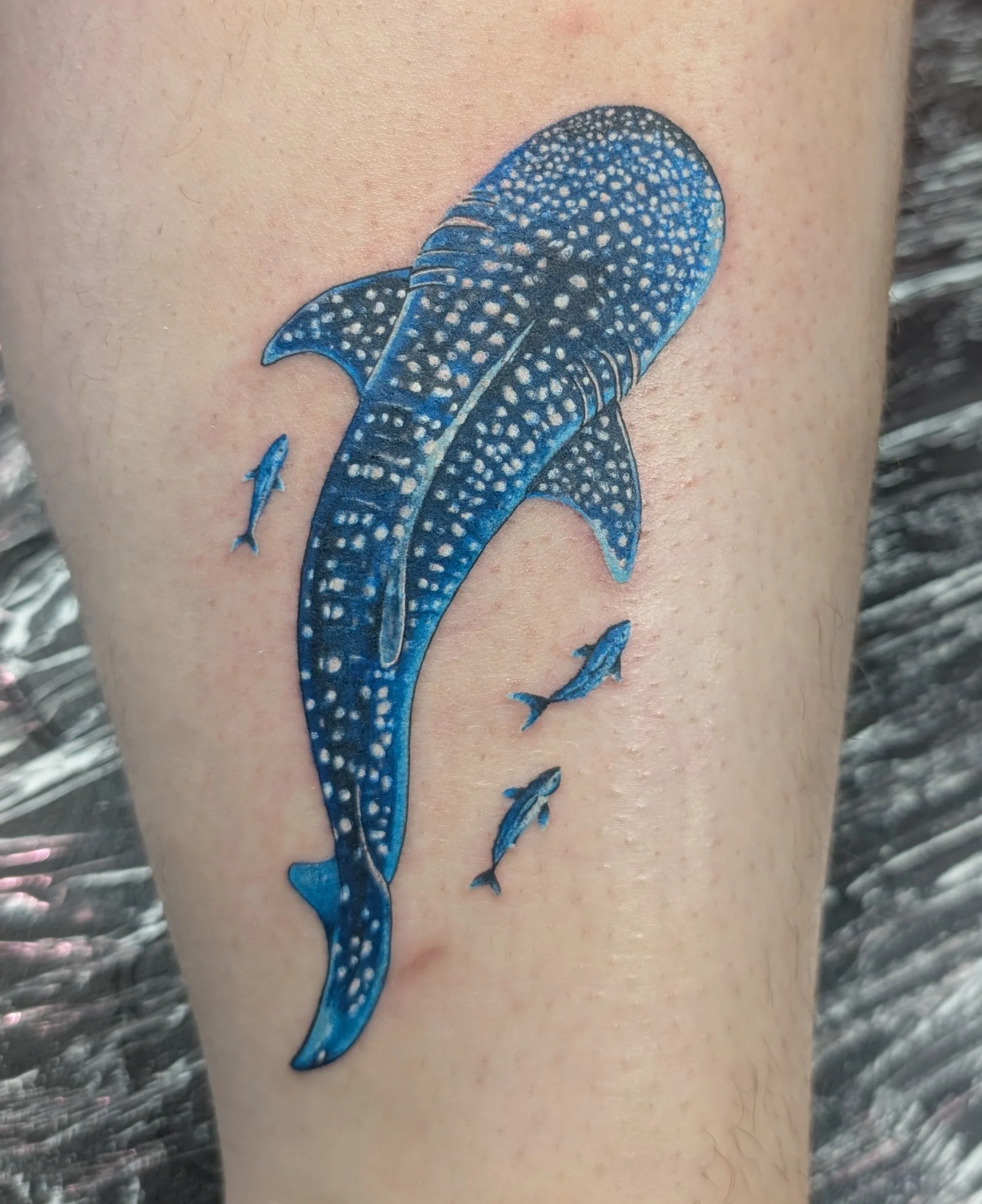 A close-up of a blue gecko tattoo with white spots on the skin.