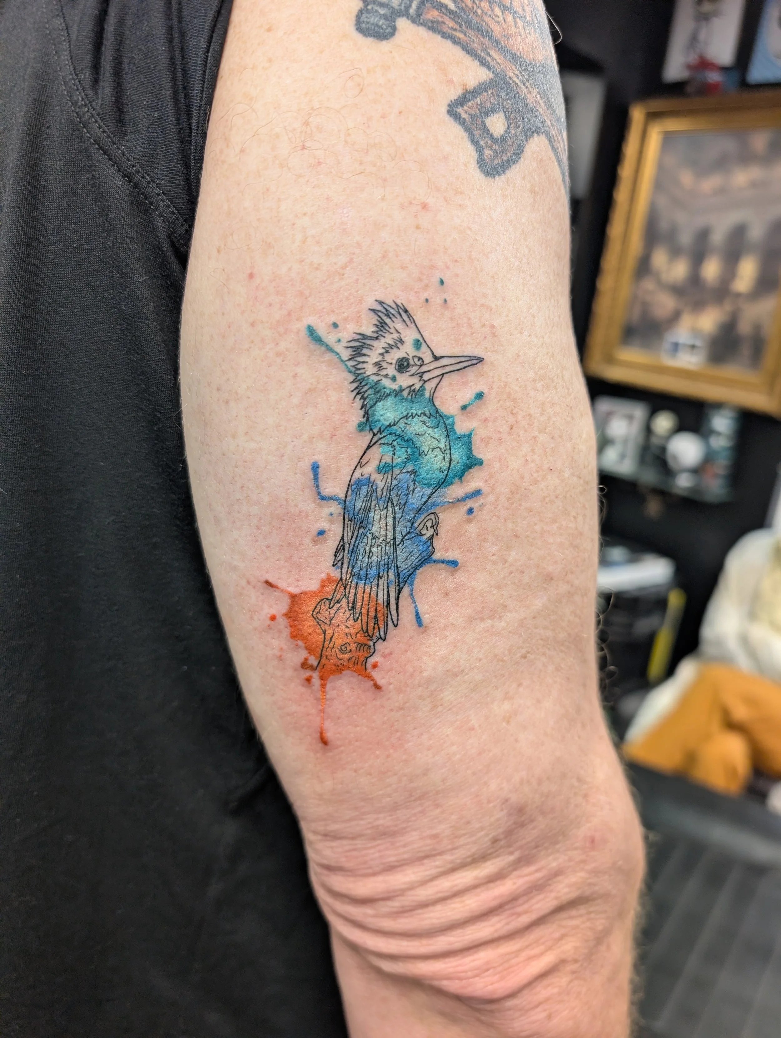 A tattoo of a bird with a long beak and spiky feathers, surrounded by blue and orange paint splashes, on a person's upper arm.