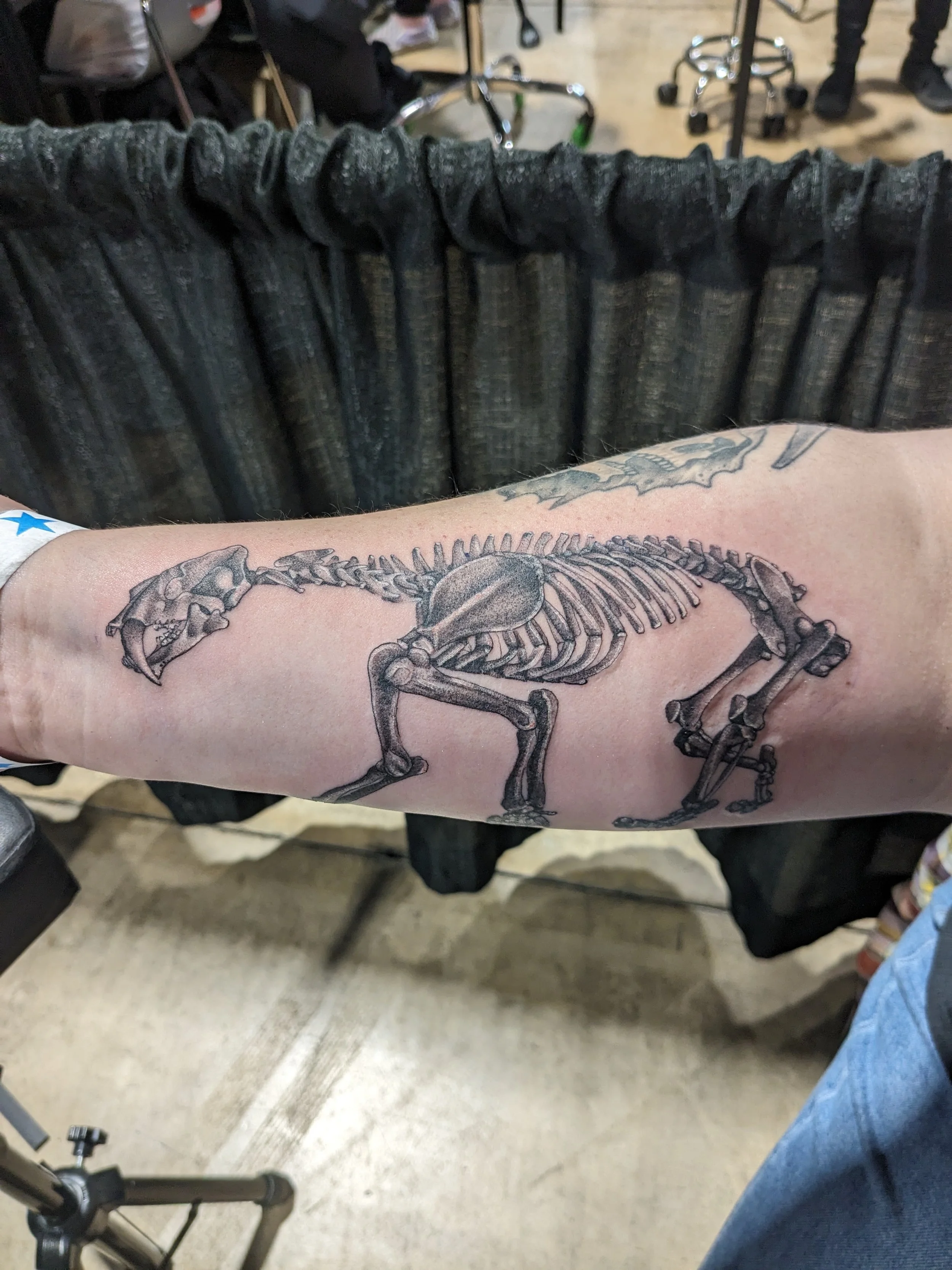 A person's arm with a skeletal tattoo of a prehistoric animal, possibly a mammoth or similar creature, on their forearm. In the background, there are chairs and people, indicating a setting like a tattoo studio or similar environment.