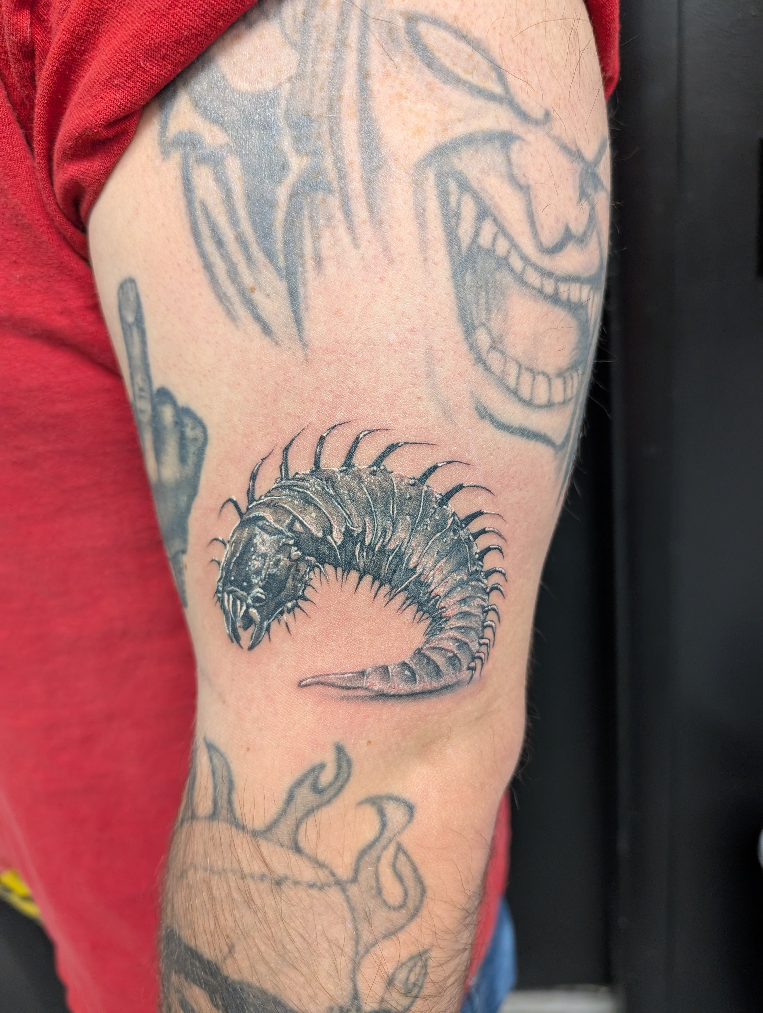 Tattoo of a grinning skull with a large, detailed centipede below it on a person's upper arm.