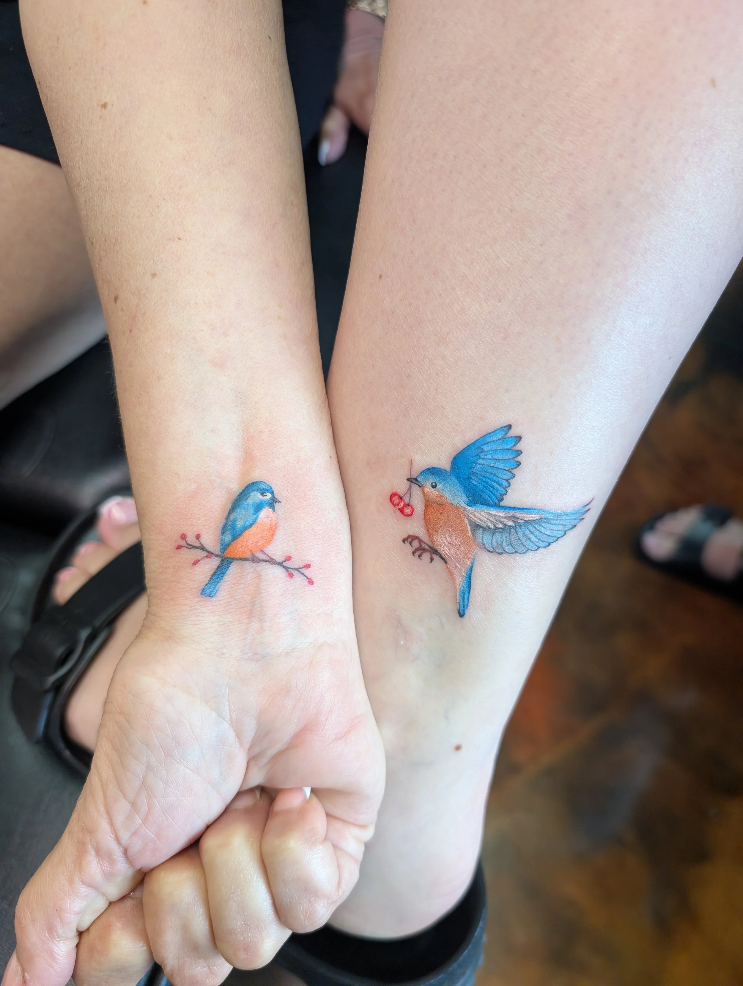 Close-up of a person's arms showing two bird tattoos on the inner forearms; one bird with blue and orange coloring holding a red bow in its beak, and the other bird with mostly blue coloring.