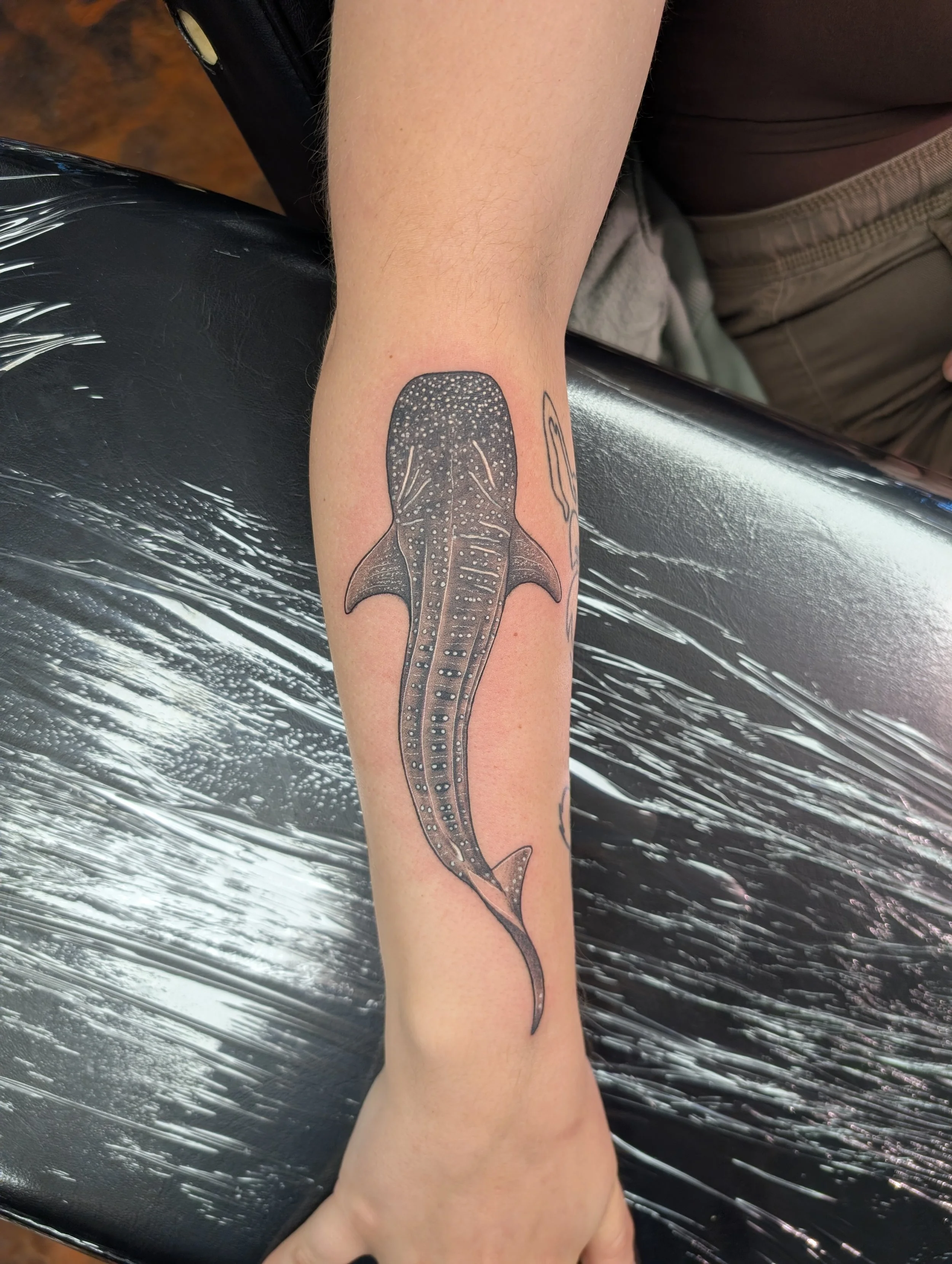 A person's arm with a tattoo of a whale shark in black ink.