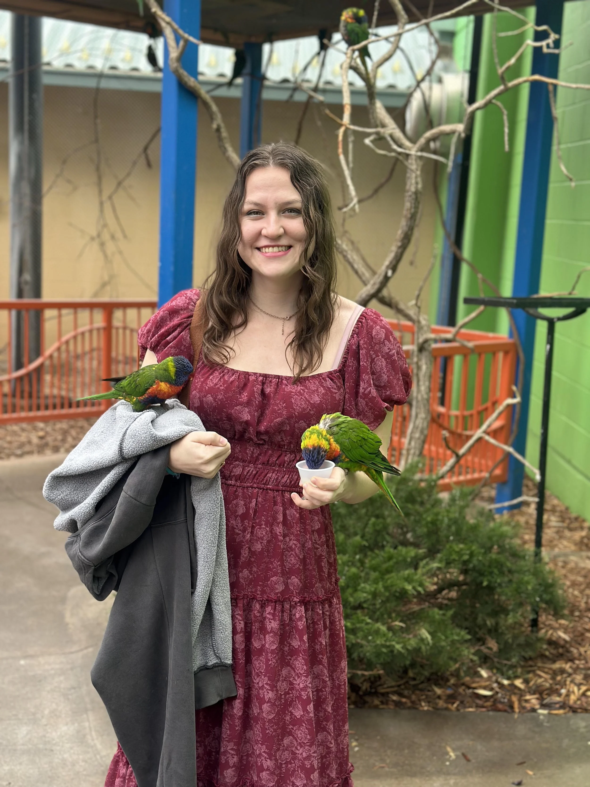 A young woman with wavy brown hair and a wide smile, wearing a red patterned dress, stands outdoors holding a colorful parrot on her arm and a cup with another bird on her hand. Behind her, there is a wooden structure with intertwined branches, a green wall, and a fenced area with another colorful bird nearby.