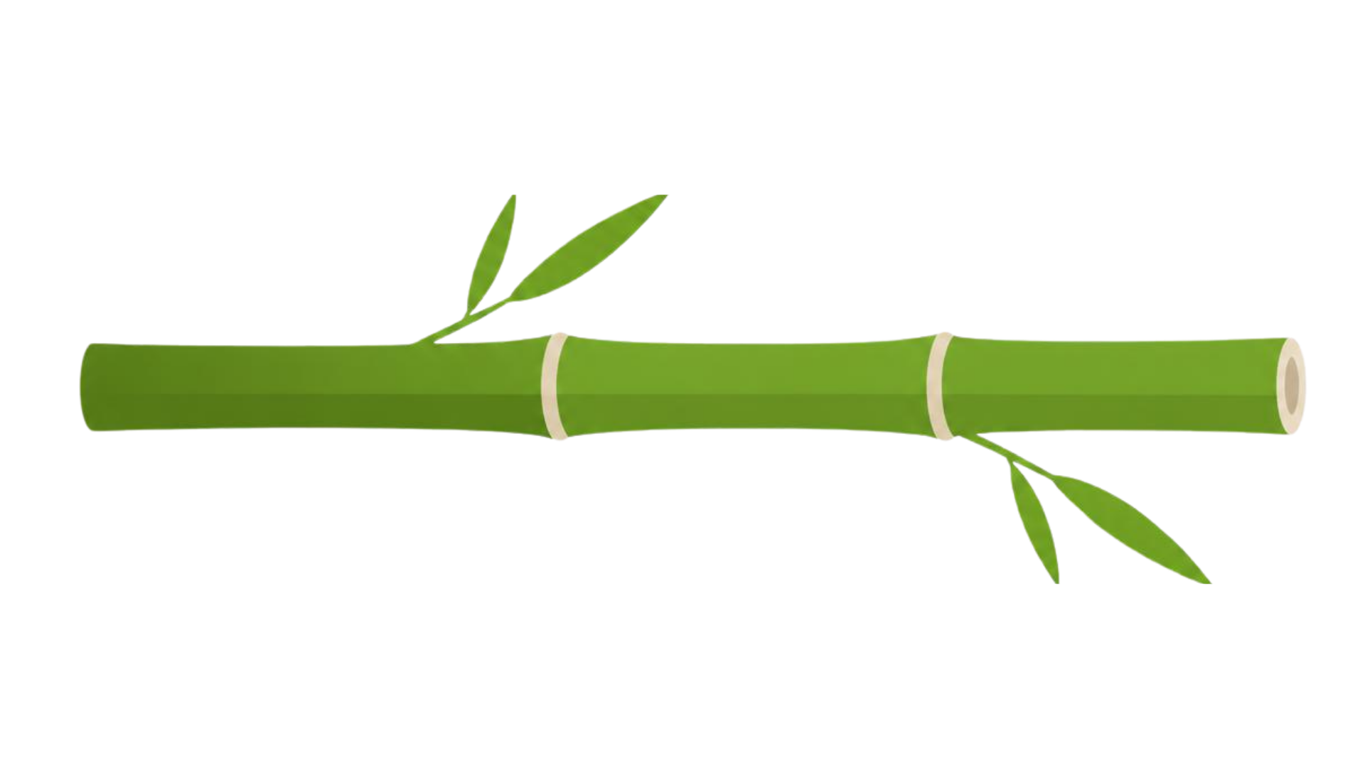 Illustration of a bamboo plant with green stalks, leaves, and cut sections.