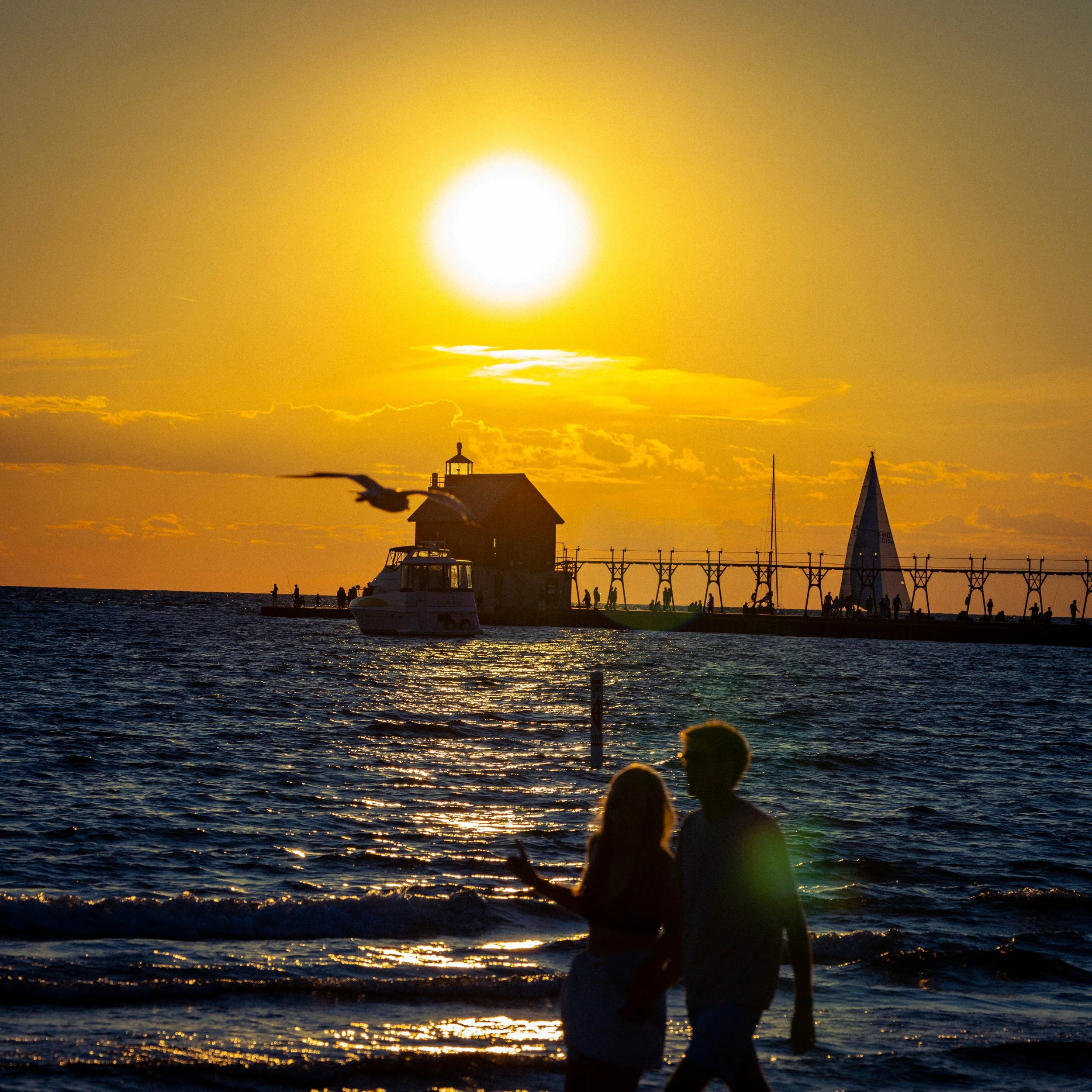 Sunset over a marina with boats, a pier, and people walking while birds fly in the sky.
