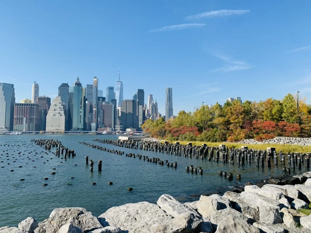 New York City skyline viewed from Brooklyn Bridge Park.
