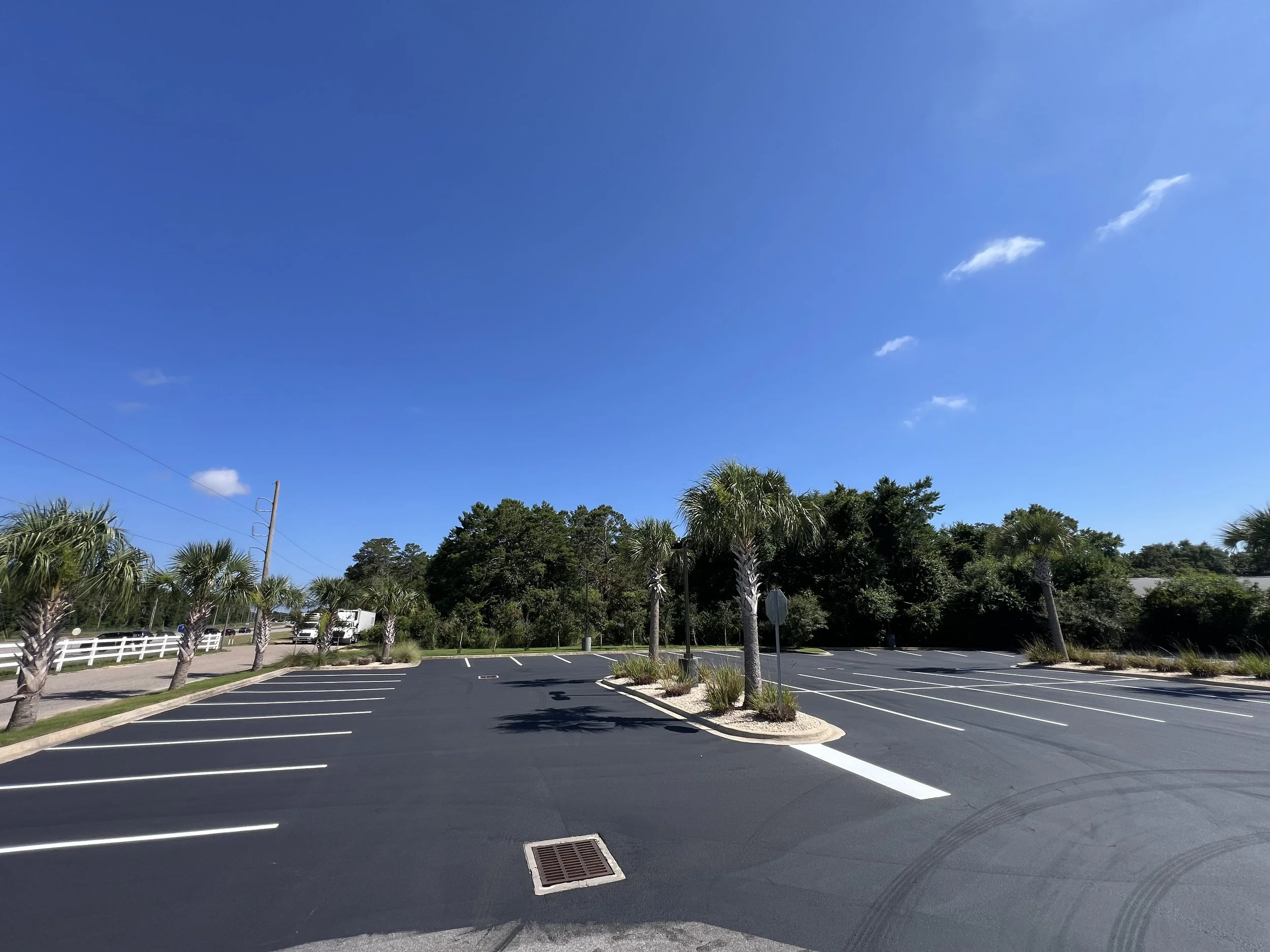 Empty parking lot with clearly marked parking spaces, surrounded by trees and palm trees, under a bright blue sky with a few small clouds.