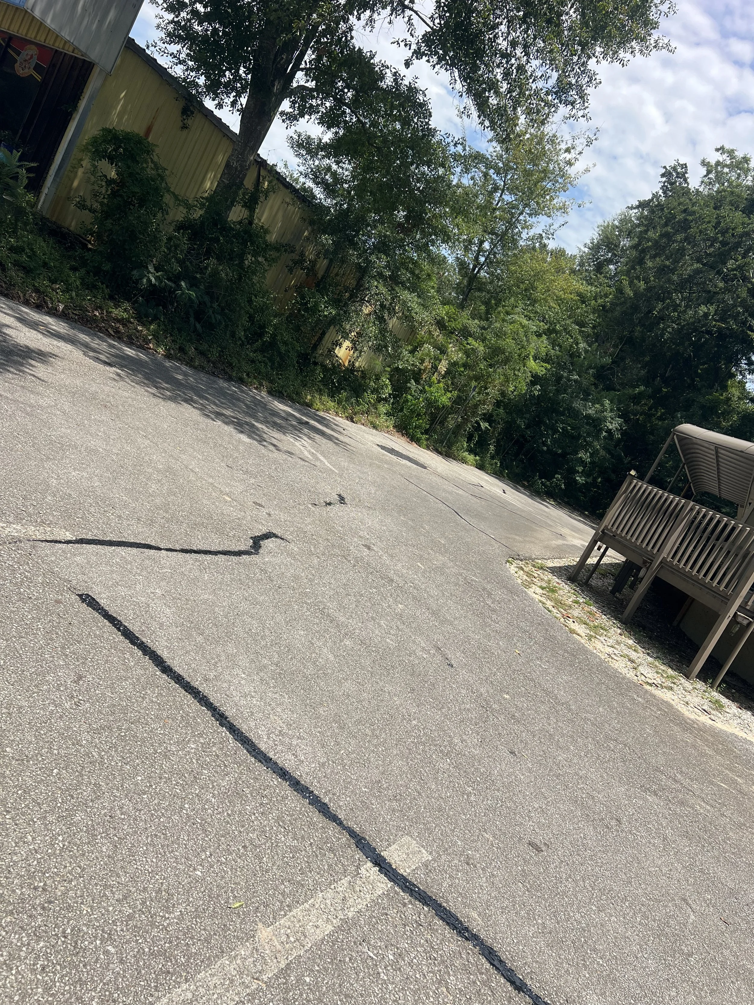 IMG_6153.jpeg