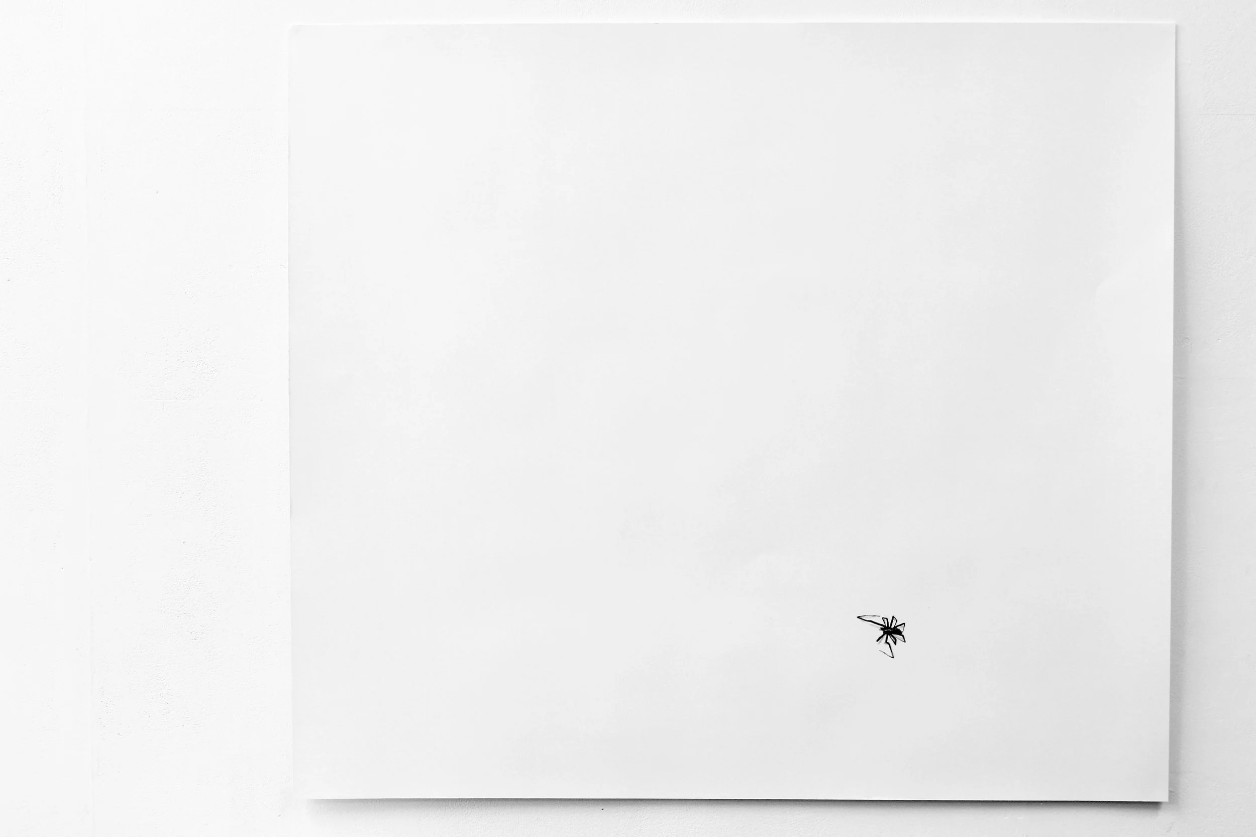 Large drawing of a lonely spider on white paper