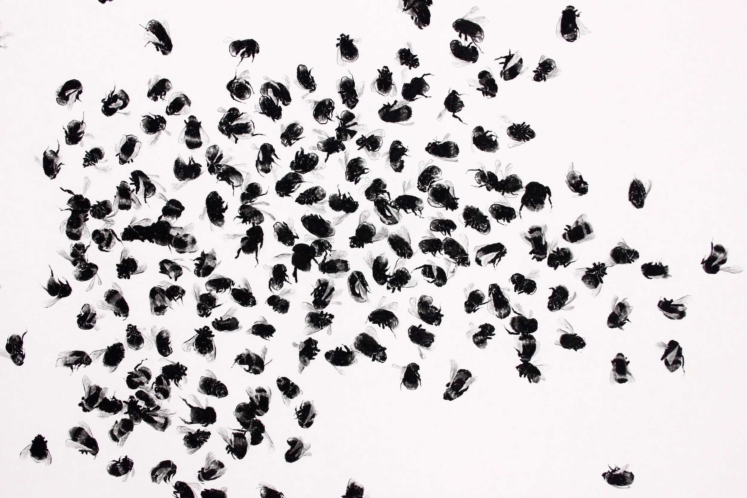 closeup image of a drawing of a swarm of bees