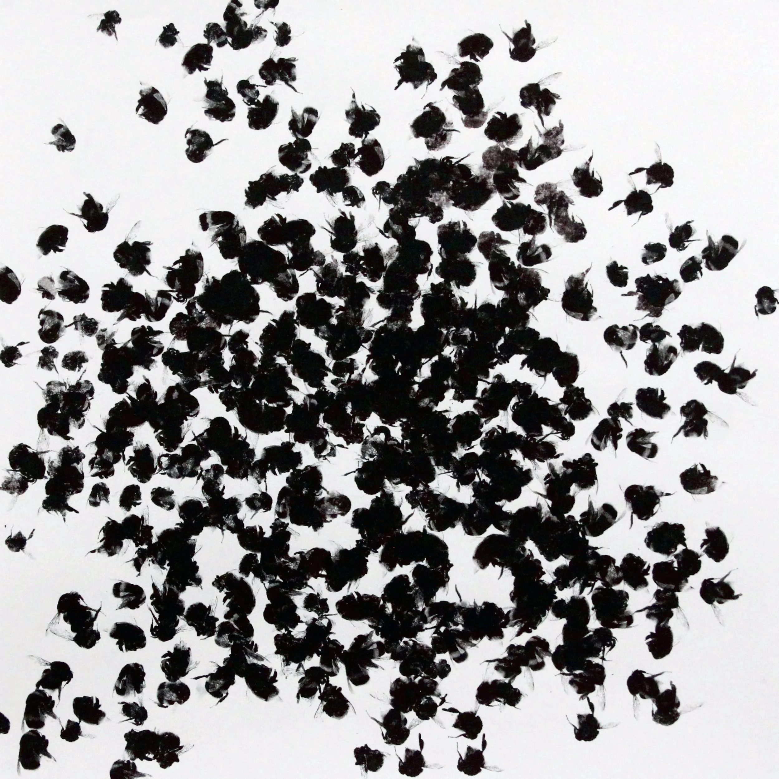 Abstract black imprints of bumblebees on white paper background.